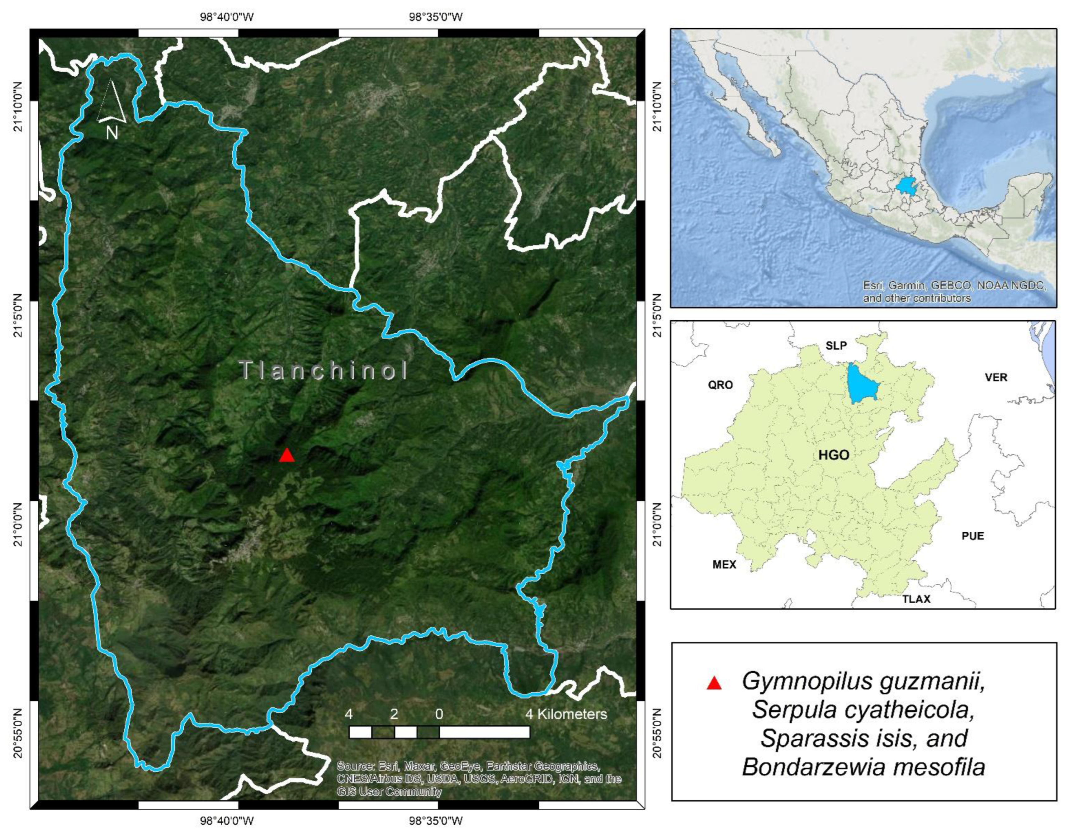 Jof 09 00477 g004 Jof 09 00477 g004