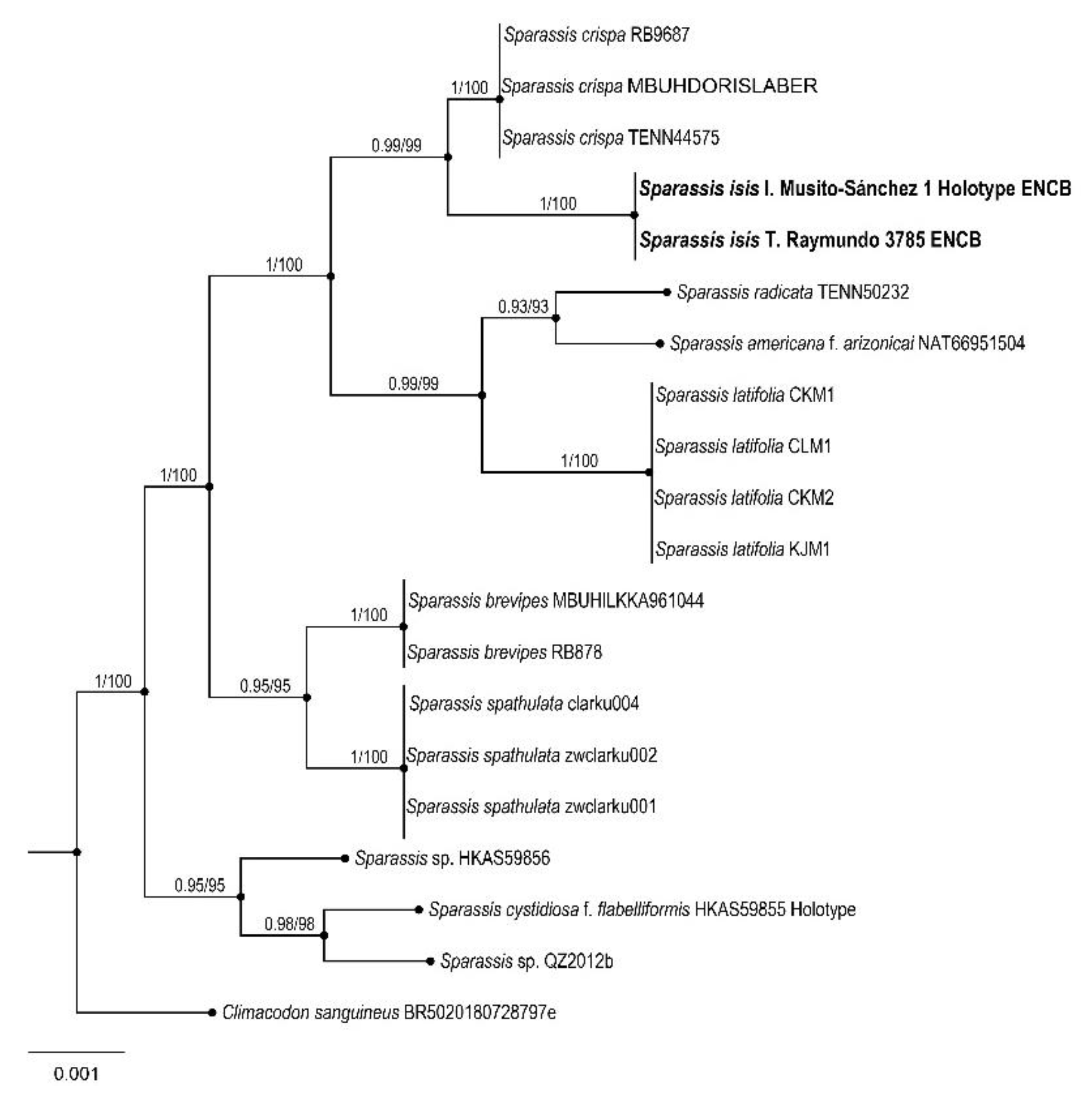 Jof 09 00477 g008 Jof 09 00477 g008