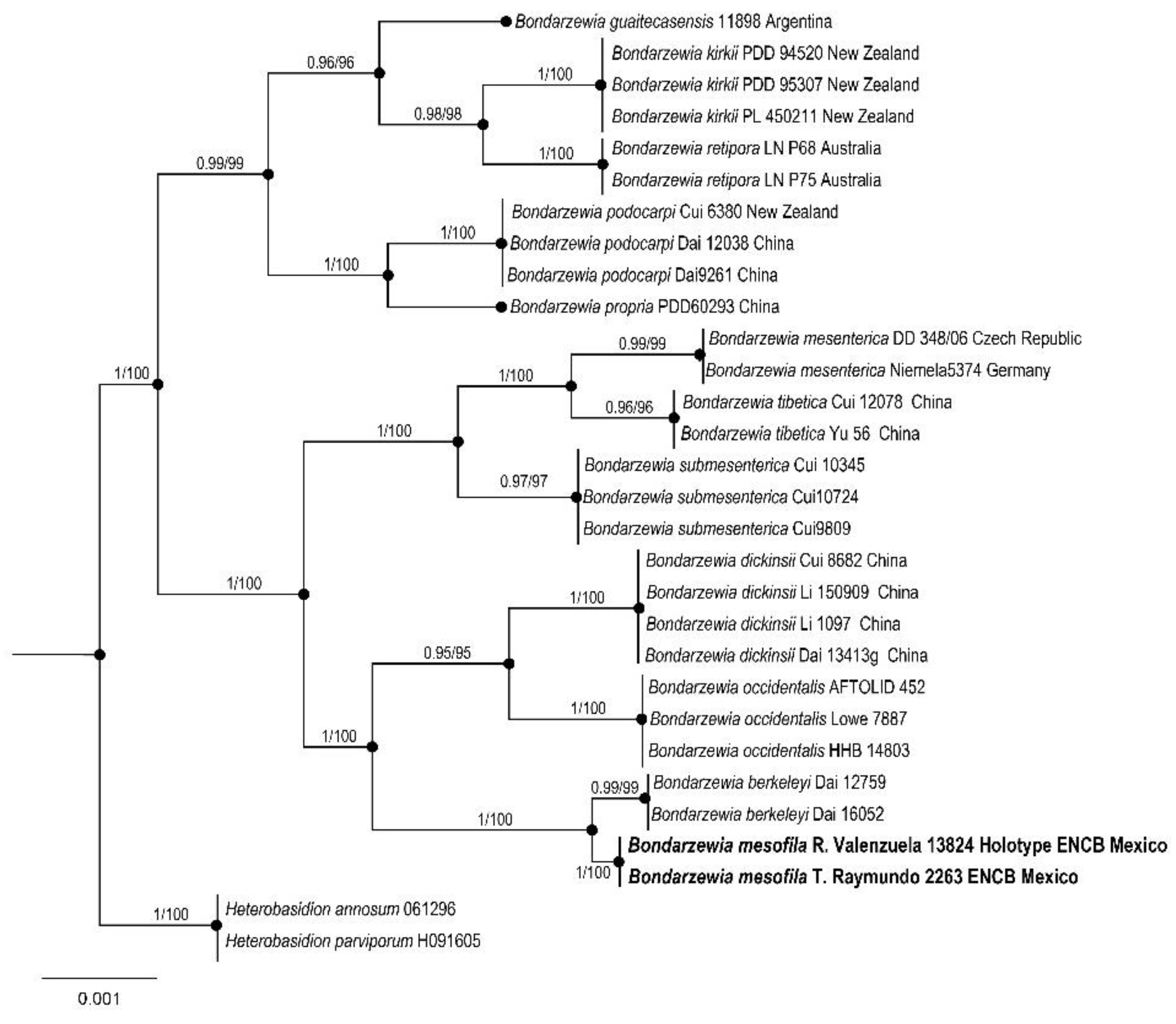 Jof 09 00477 g010 Jof 09 00477 g010