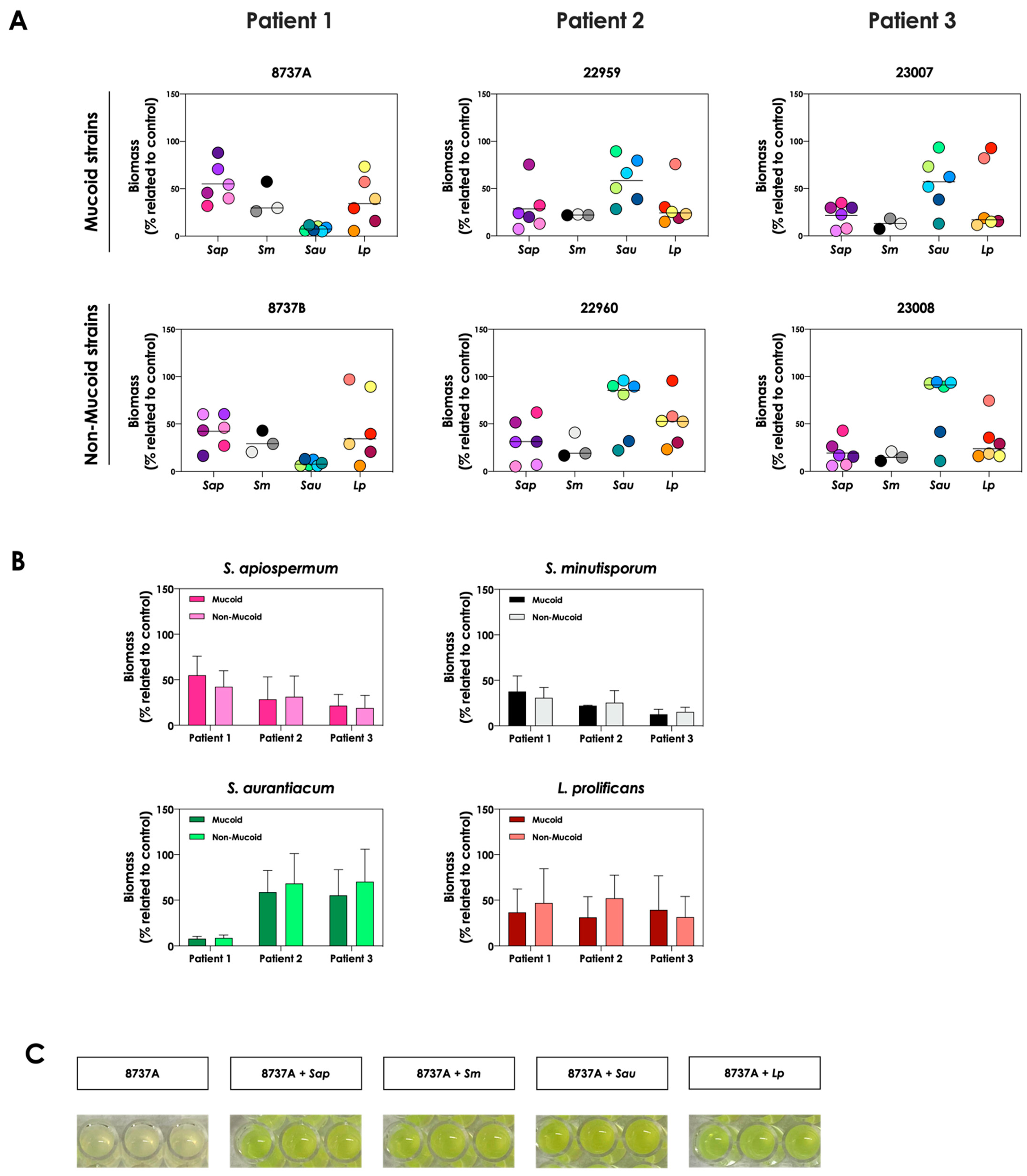 Jof 09 00502 g001 Jof 09 00502 g001