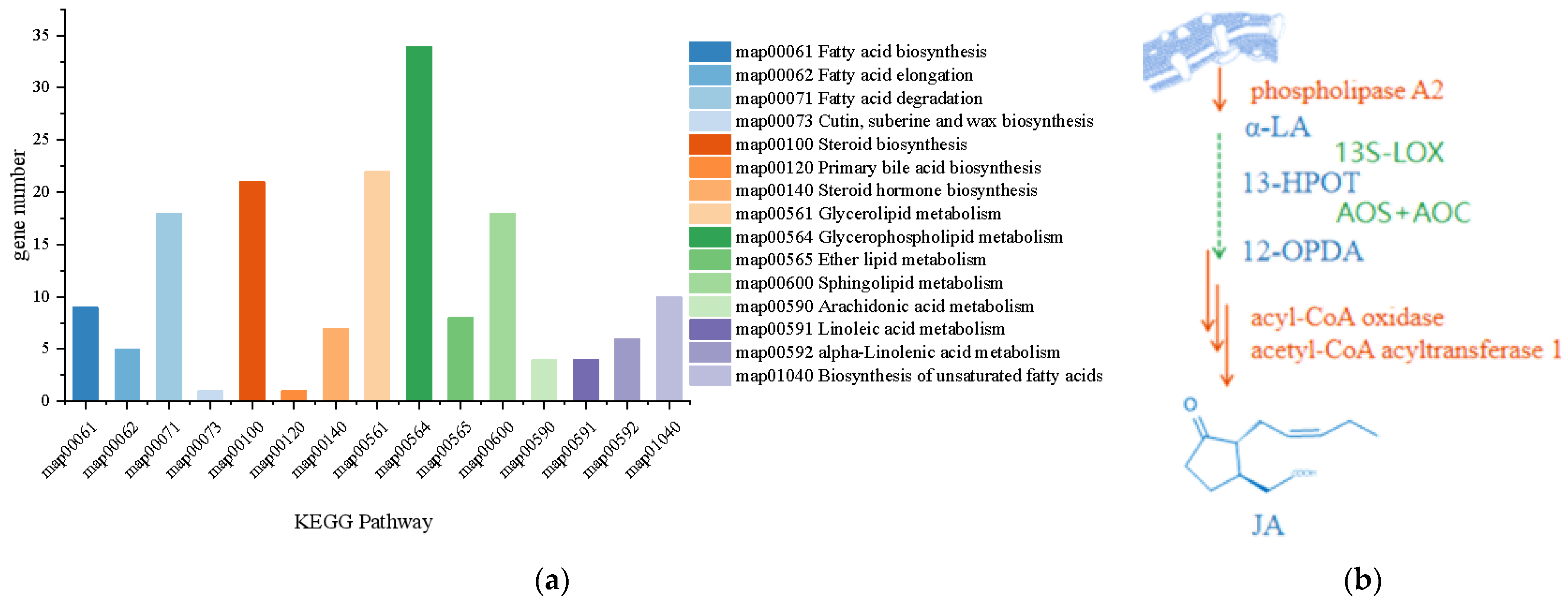 Jof 09 00522 g006 Jof 09 00522 g006