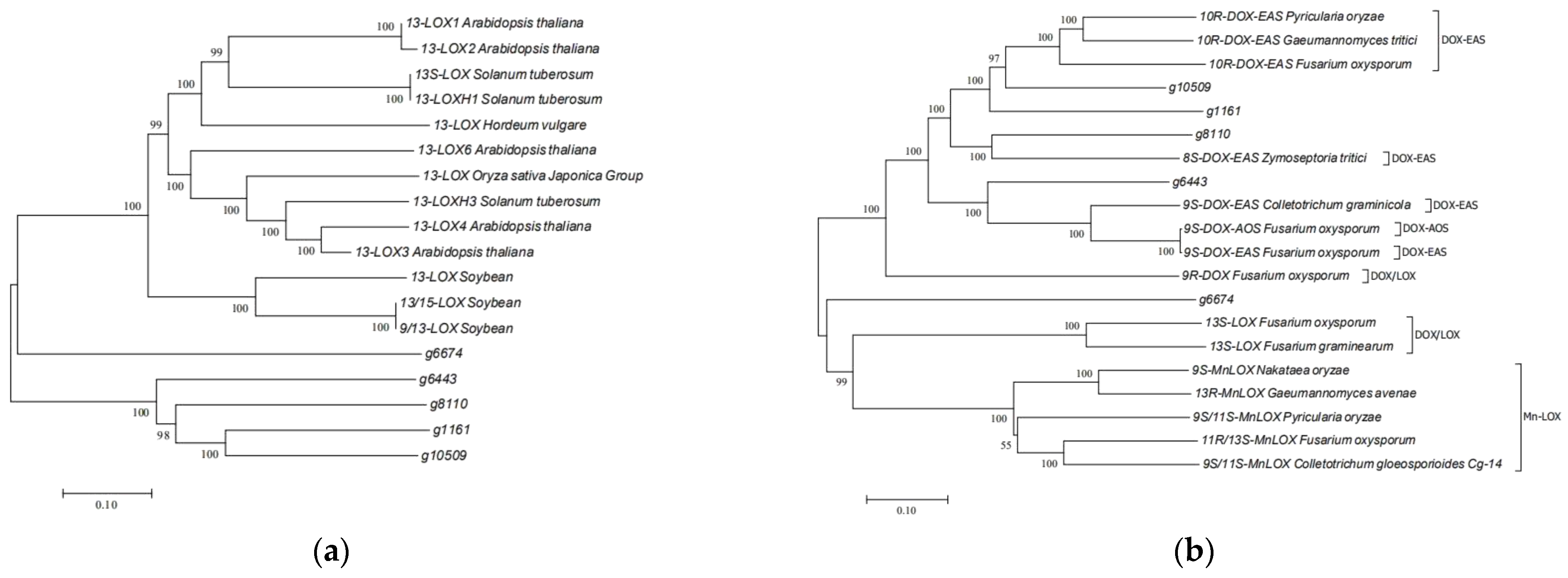 Jof 09 00522 g007 Jof 09 00522 g007