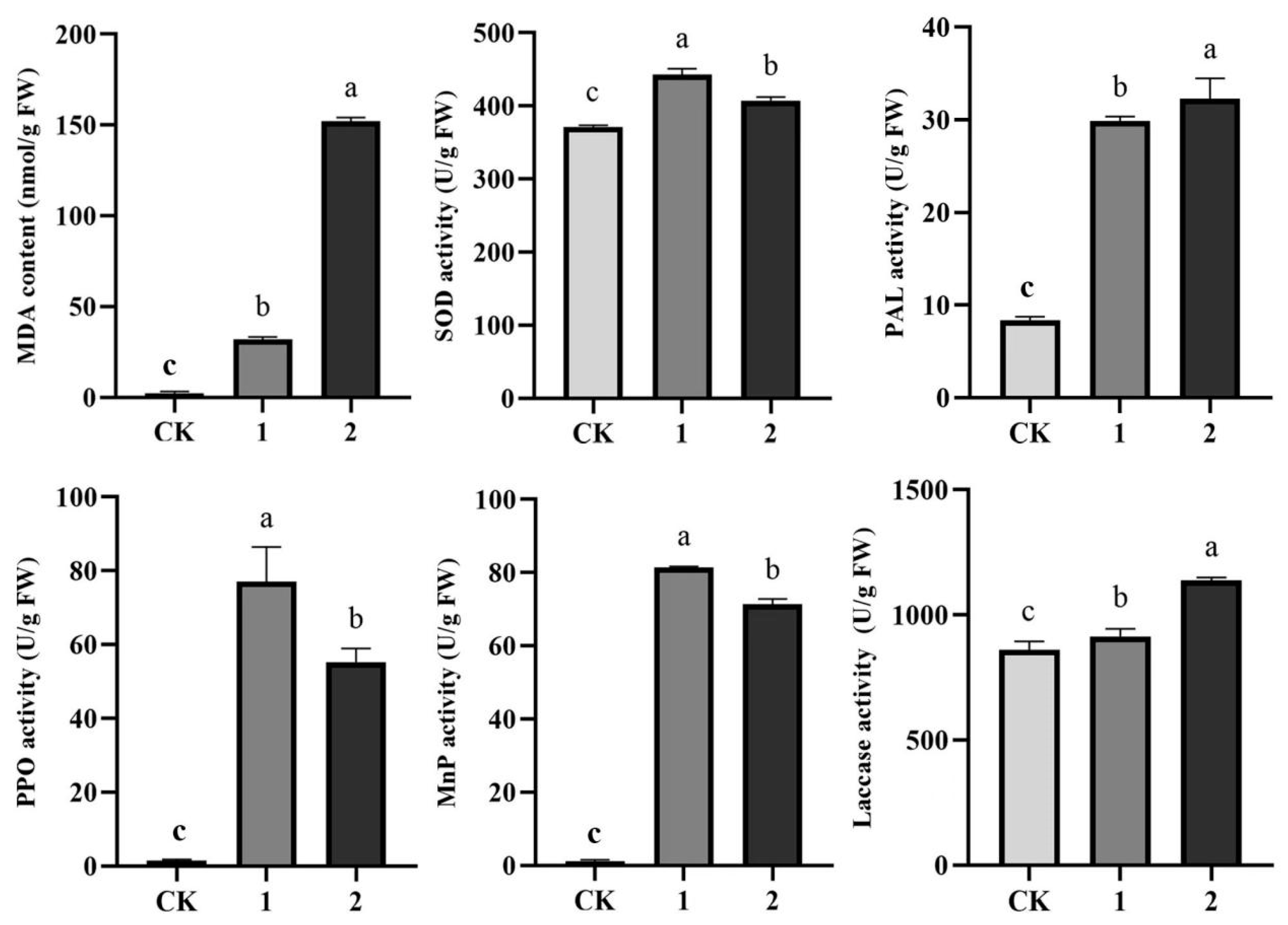Jof 09 00525 g008 Jof 09 00525 g008