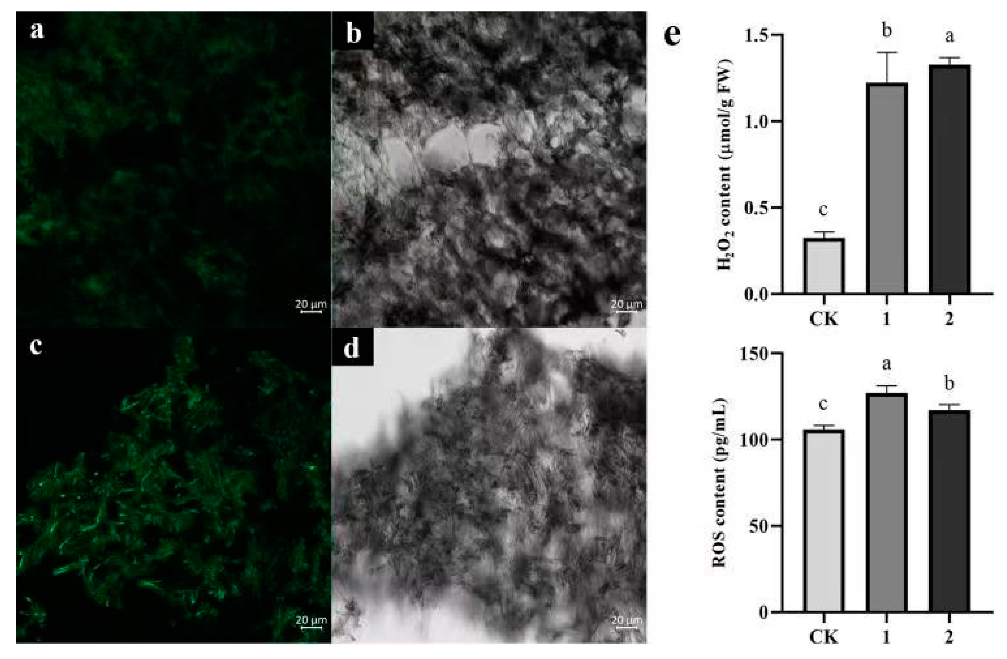 Jof 09 00525 g009 Jof 09 00525 g009