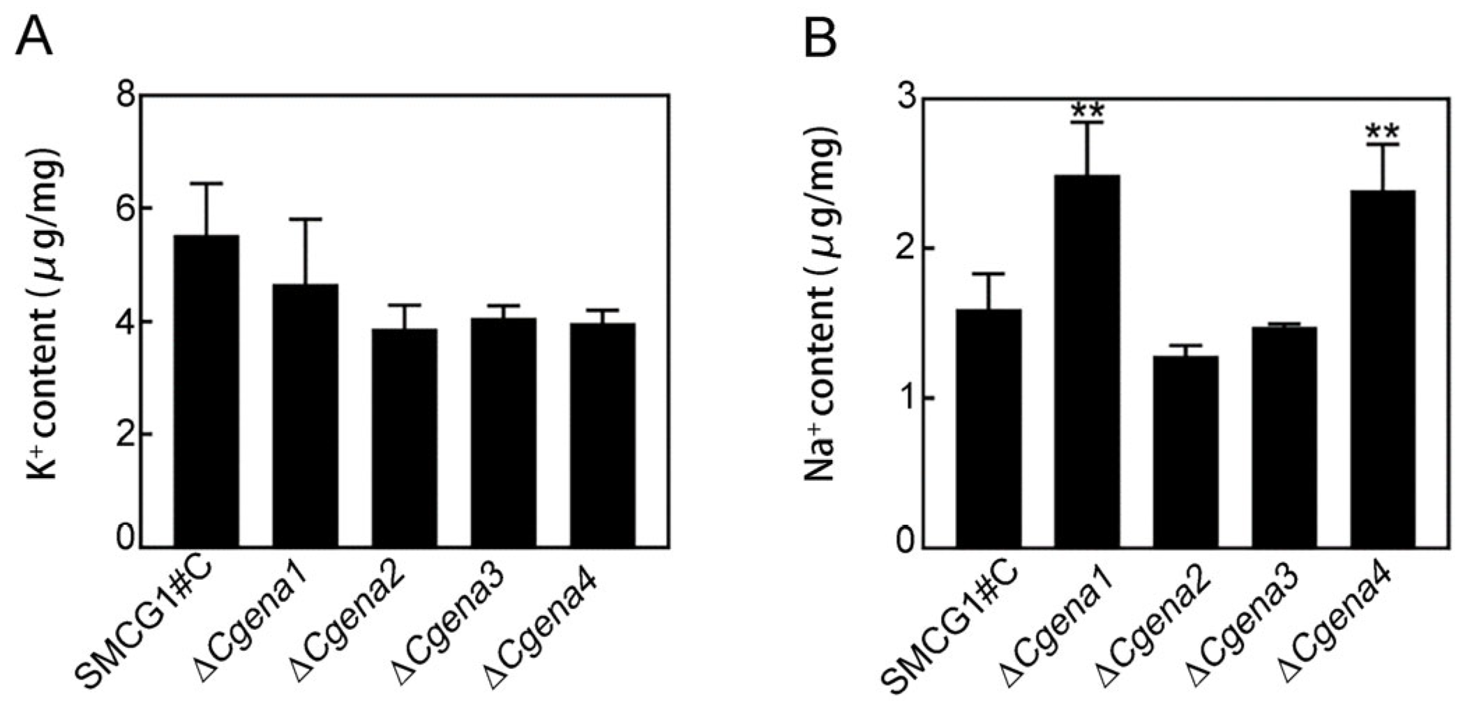 Jof 09 00566 g002 Jof 09 00566 g002