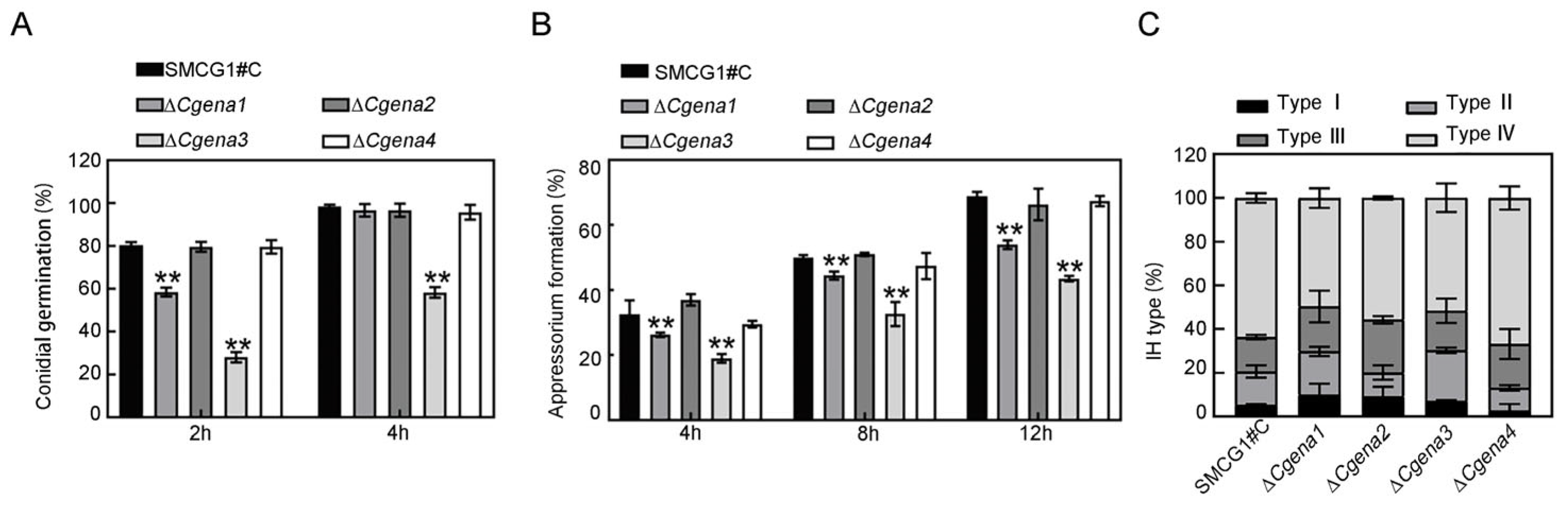 Jof 09 00566 g005 Jof 09 00566 g005