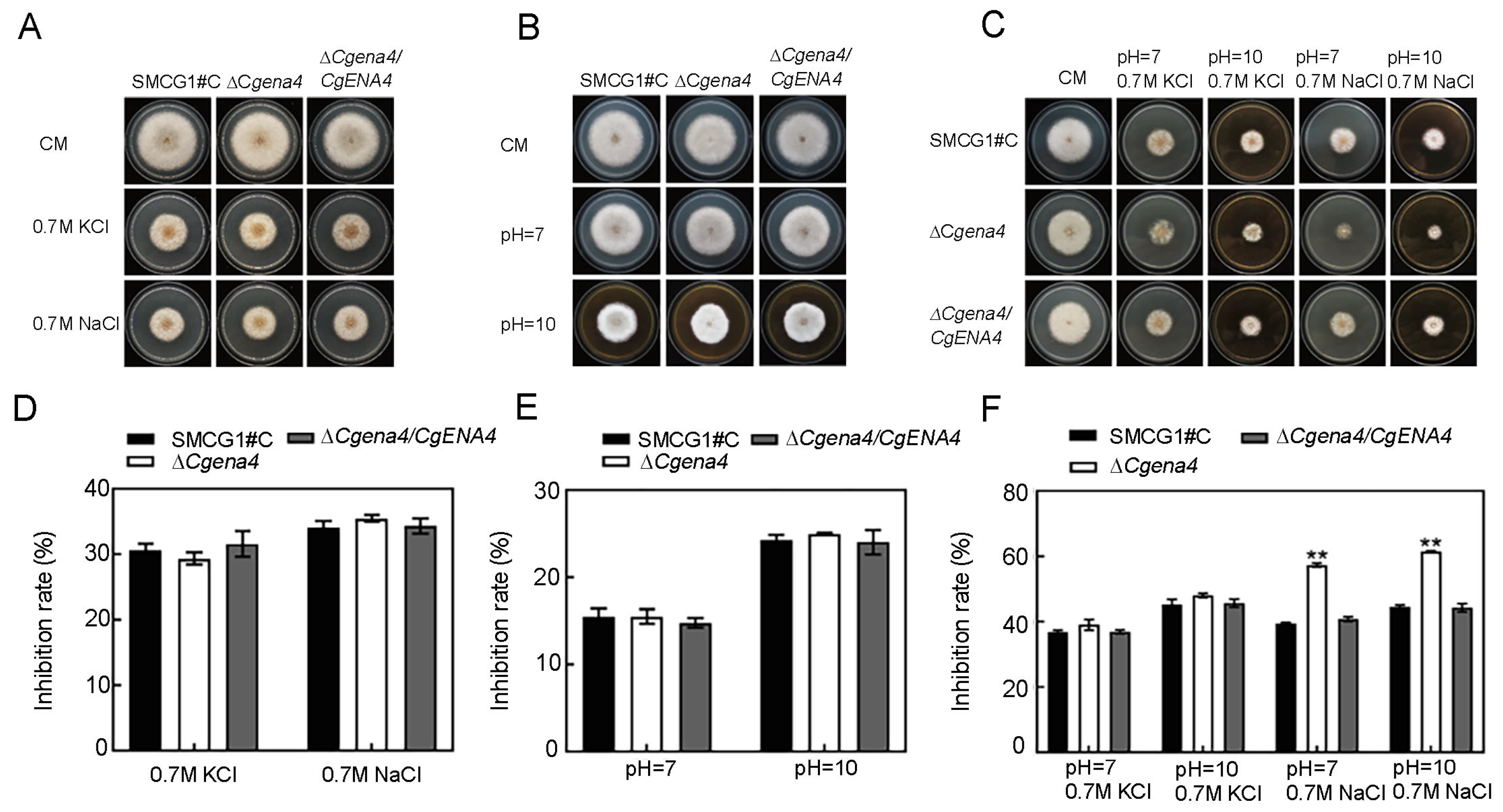 Jof 09 00566 g006 Jof 09 00566 g006