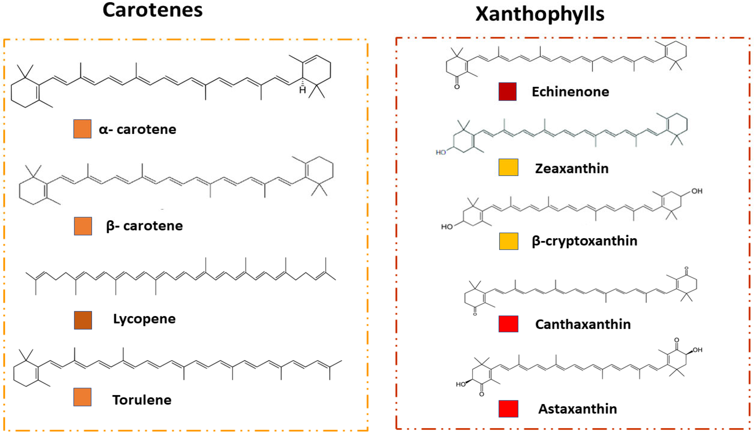 Jof 09 00578 g001 Jof 09 00578 g001
