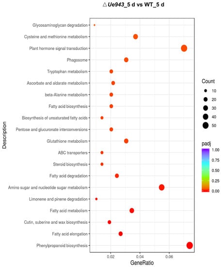 Needle Identification and Organization… & a Morality Tale –