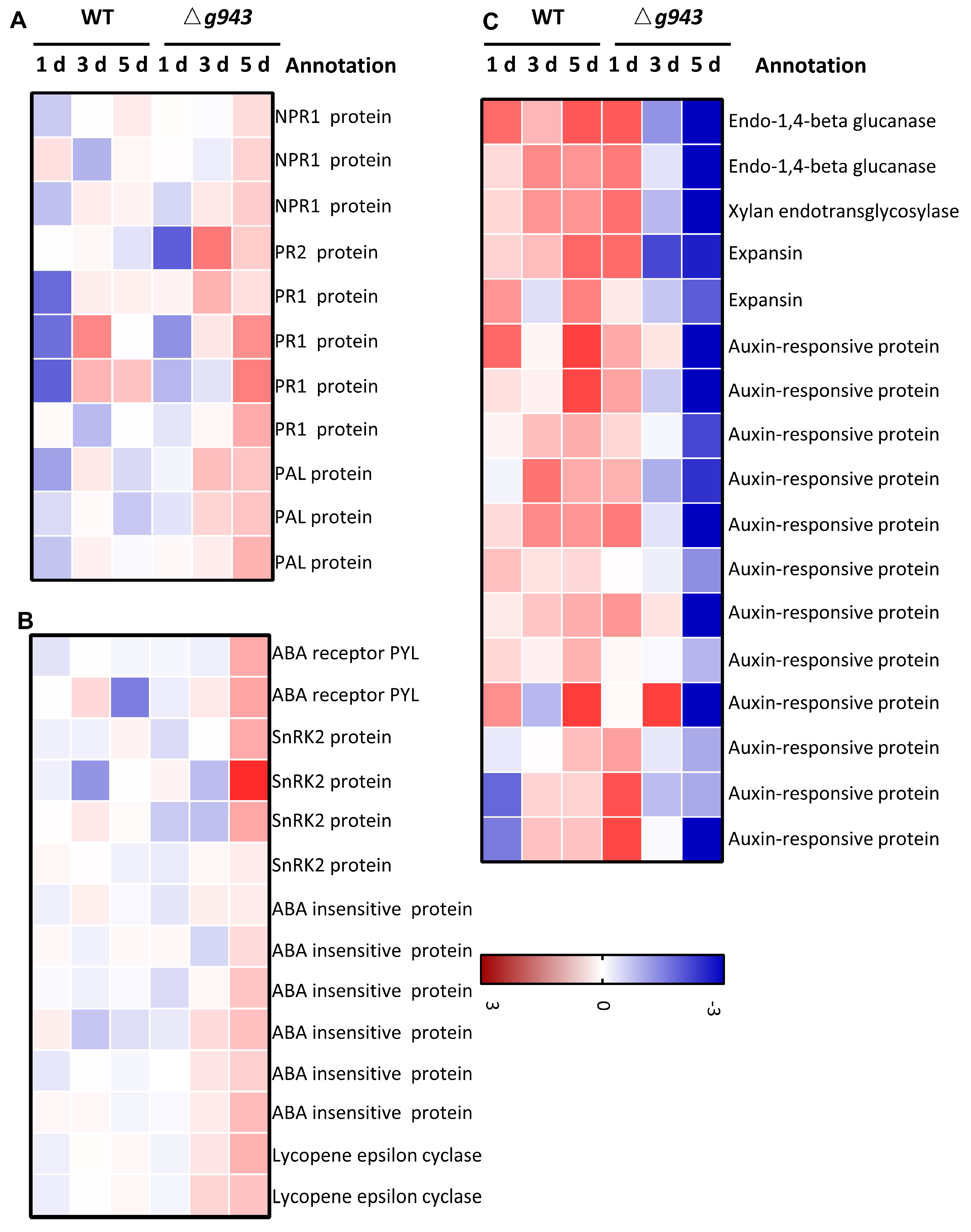 Needle Identification and Organization… & a Morality Tale –