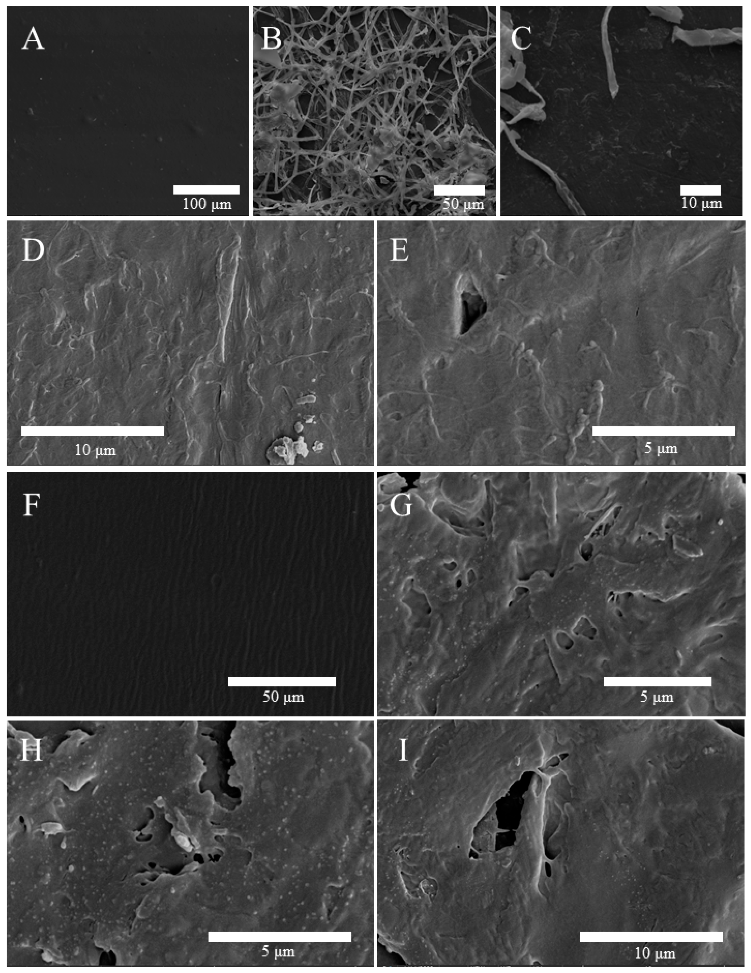 Jof 09 00605 g006 Jof 09 00605 g006
