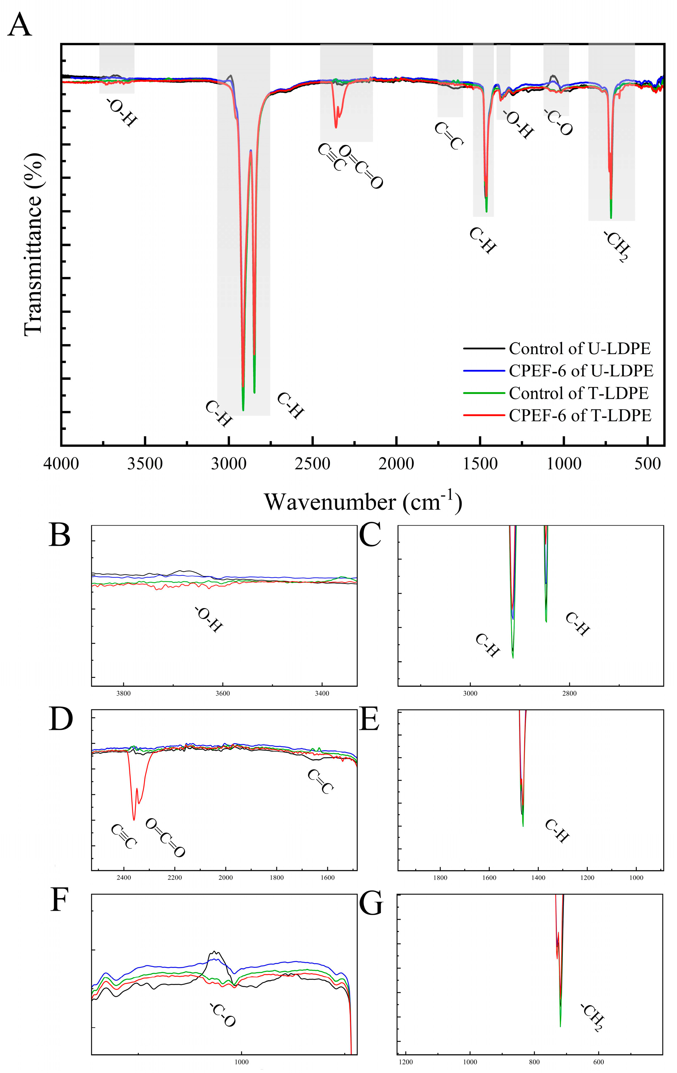 Jof 09 00605 g007 Jof 09 00605 g007