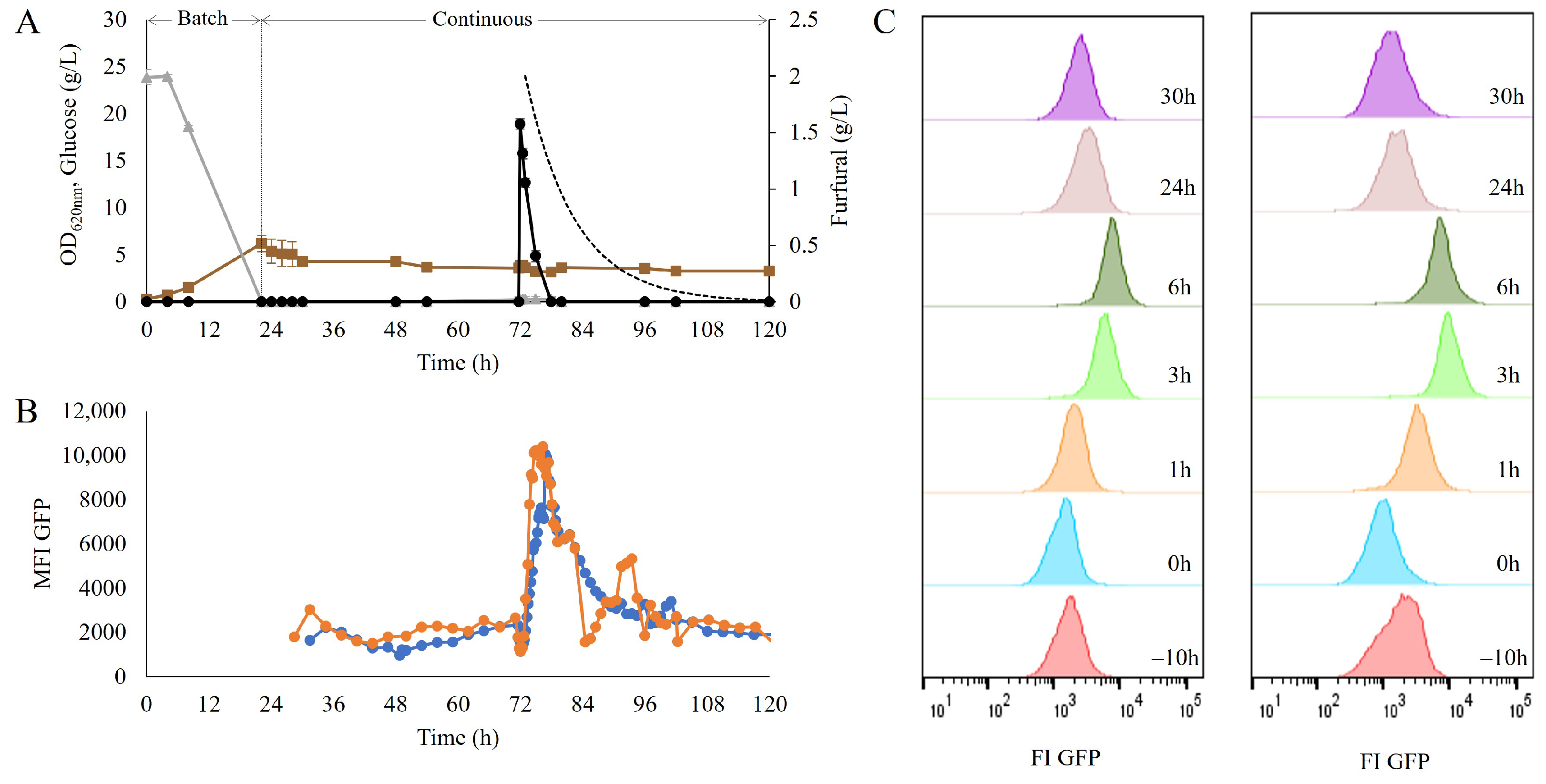 Jof 09 00630 g002 Jof 09 00630 g002