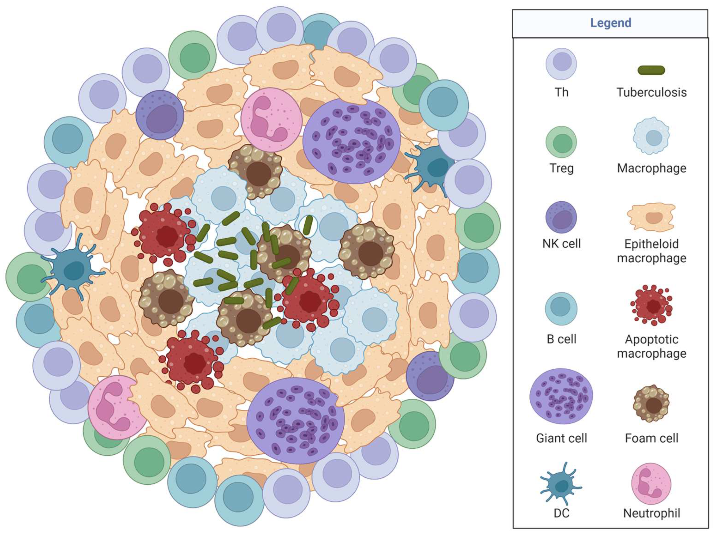 Jof 09 00650 g002 Jof 09 00650 g002