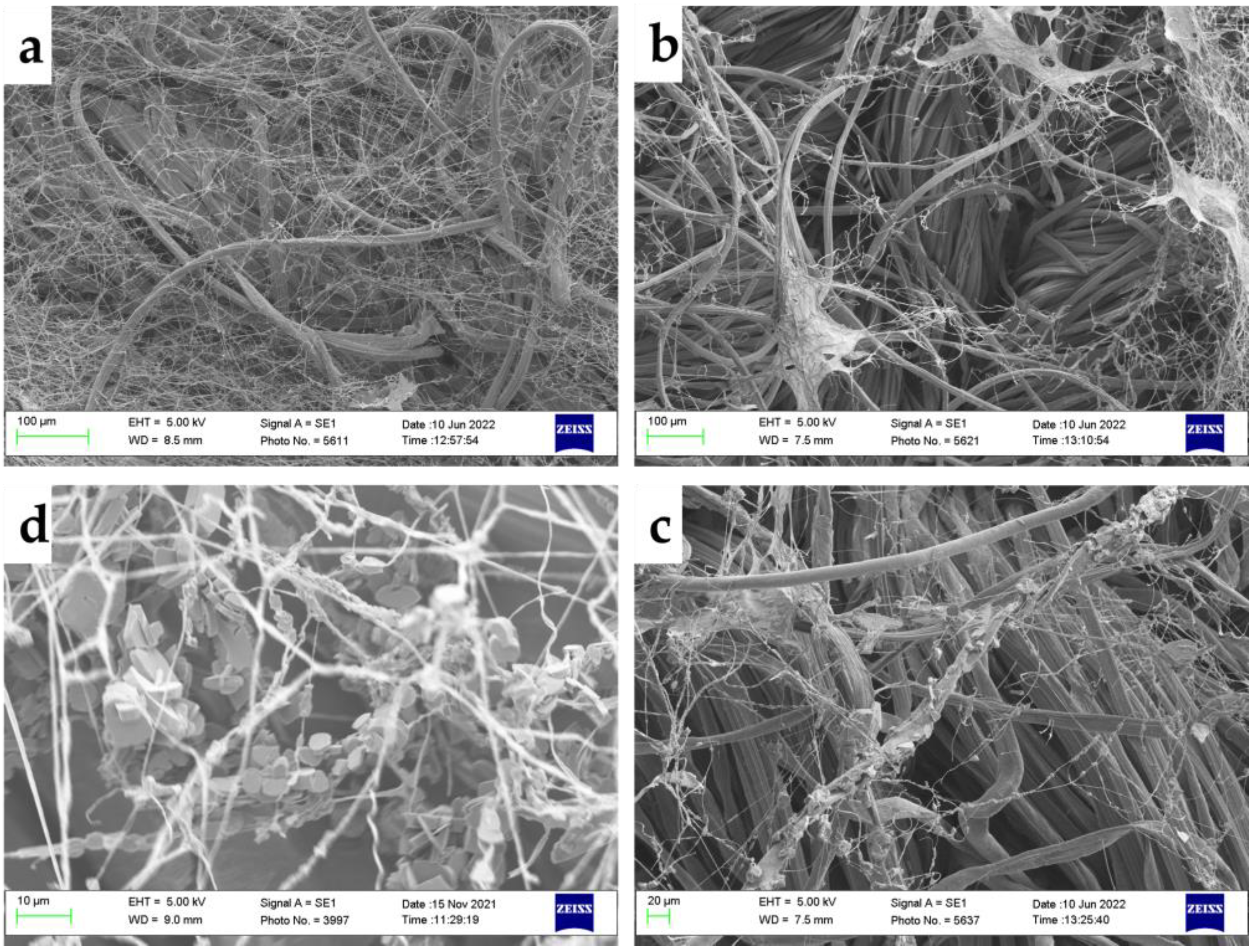 Jof 09 00661 g005 Jof 09 00661 g005