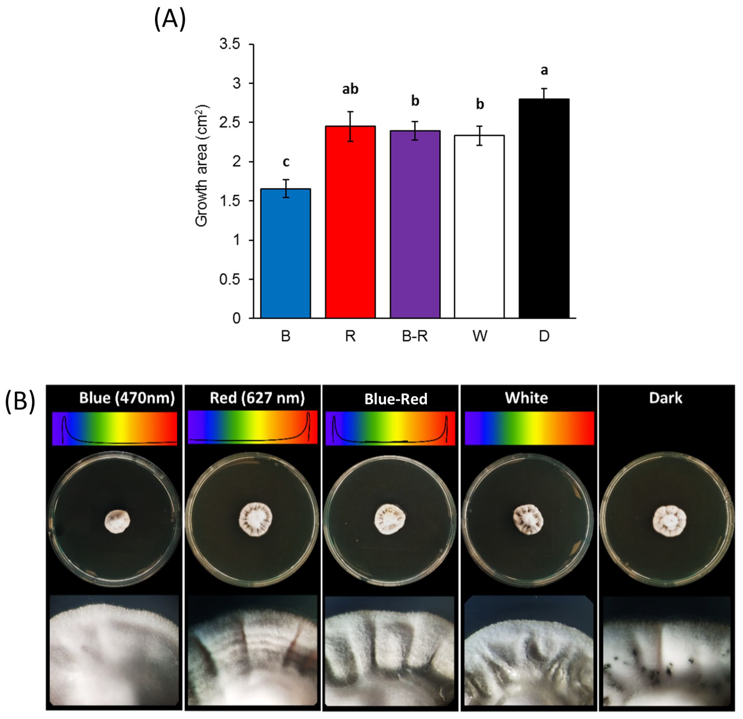 JoF | Free Full-Text | Effect of Different Light Wavelengths on