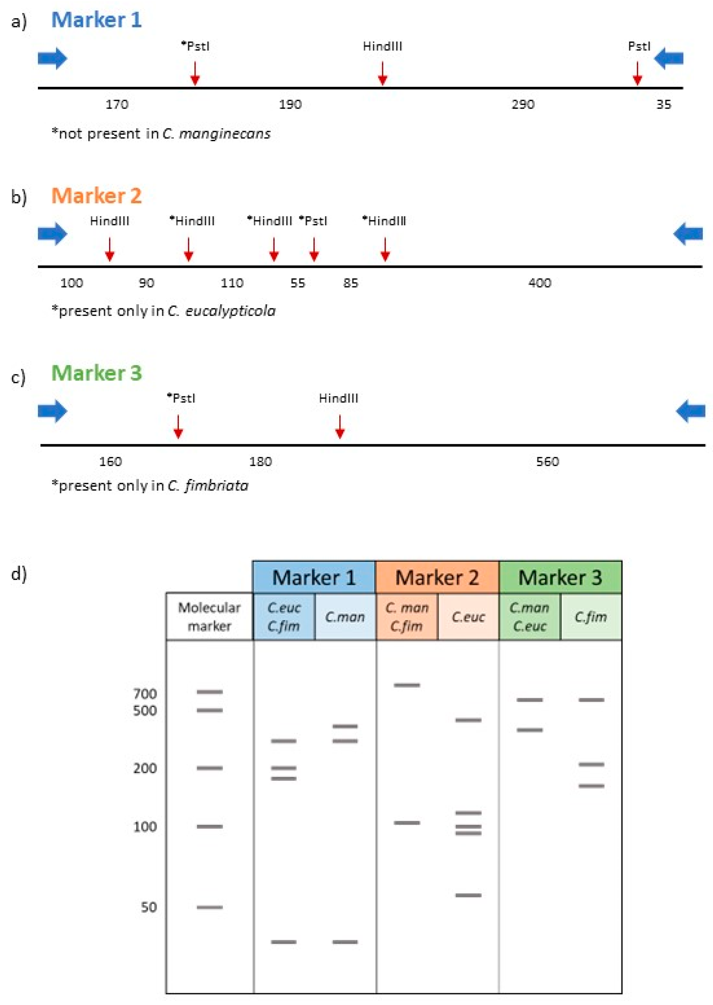 Jof 09 00686 g003 Jof 09 00686 g003