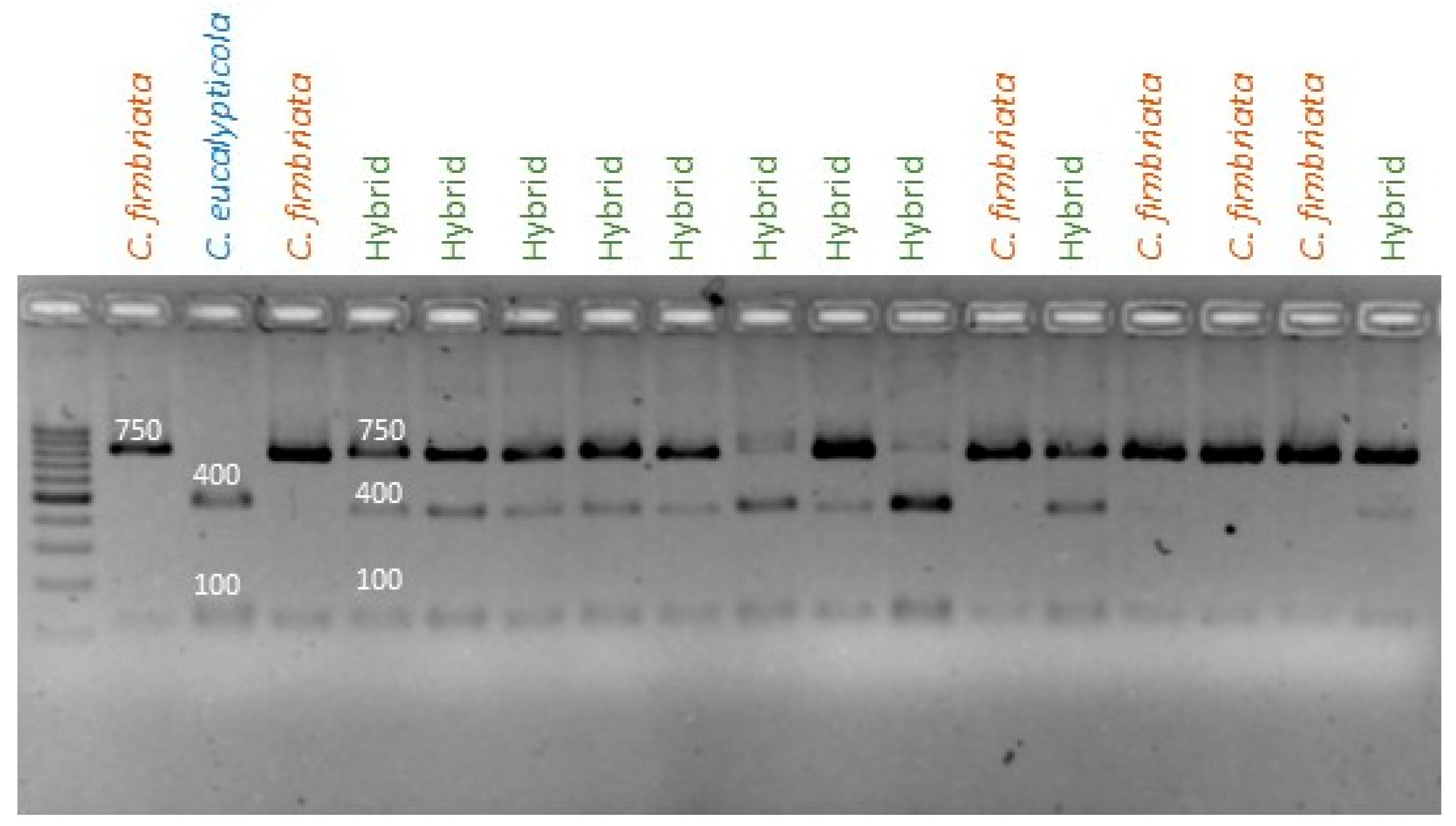 Jof 09 00686 g004 Jof 09 00686 g004