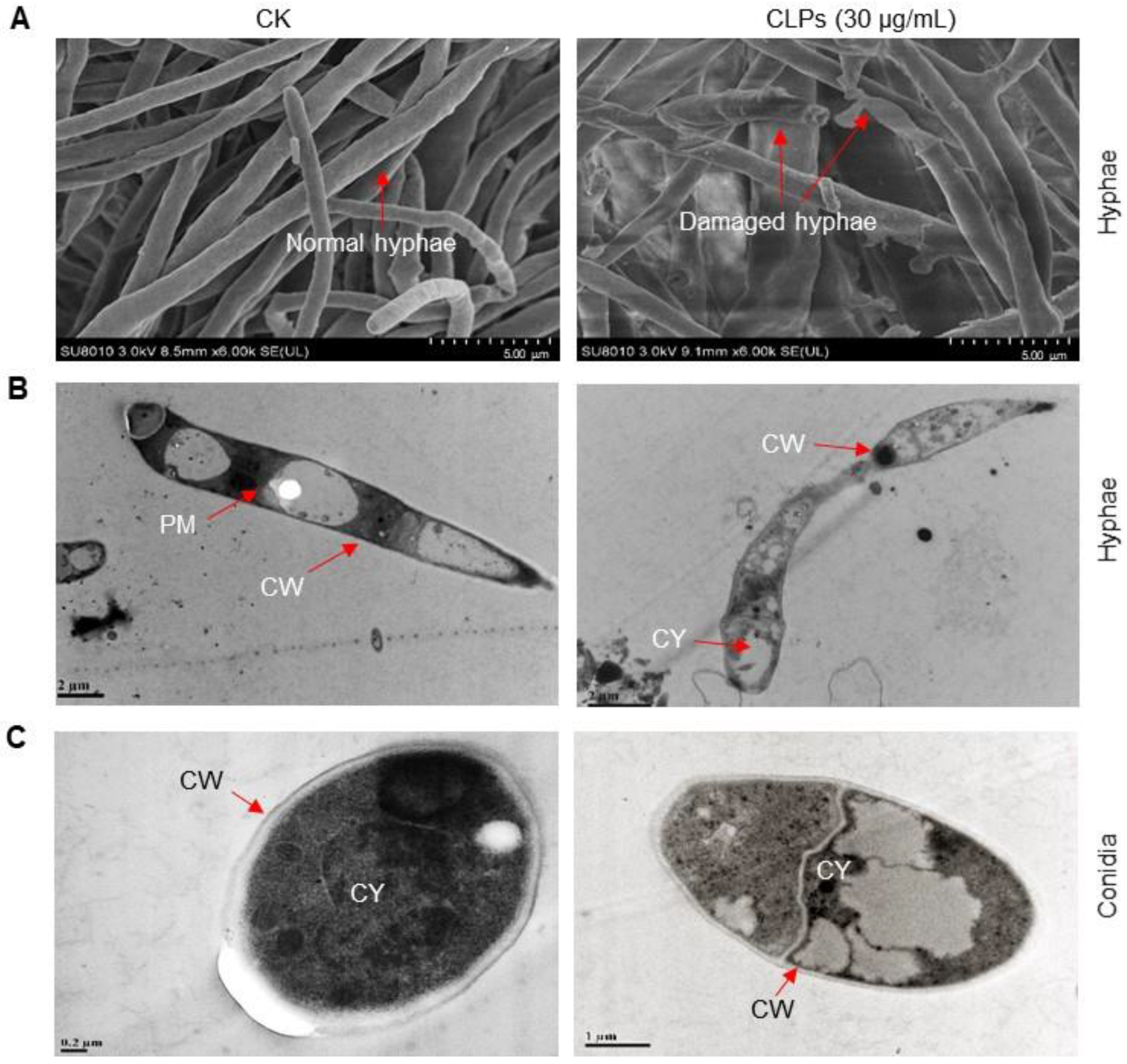 Jof 09 00687 g006 Jof 09 00687 g006