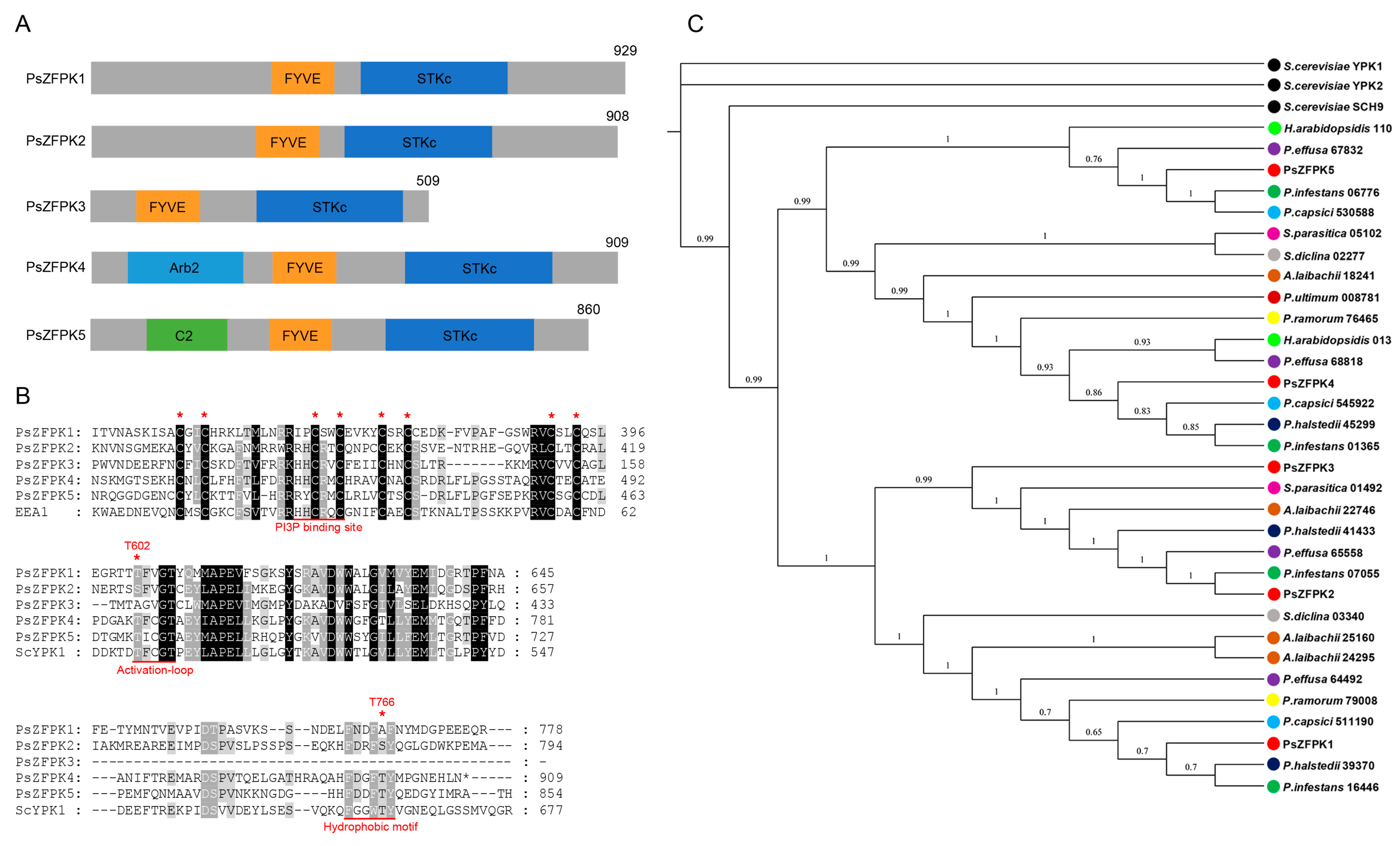 Jof 09 00709 g001 Jof 09 00709 g001