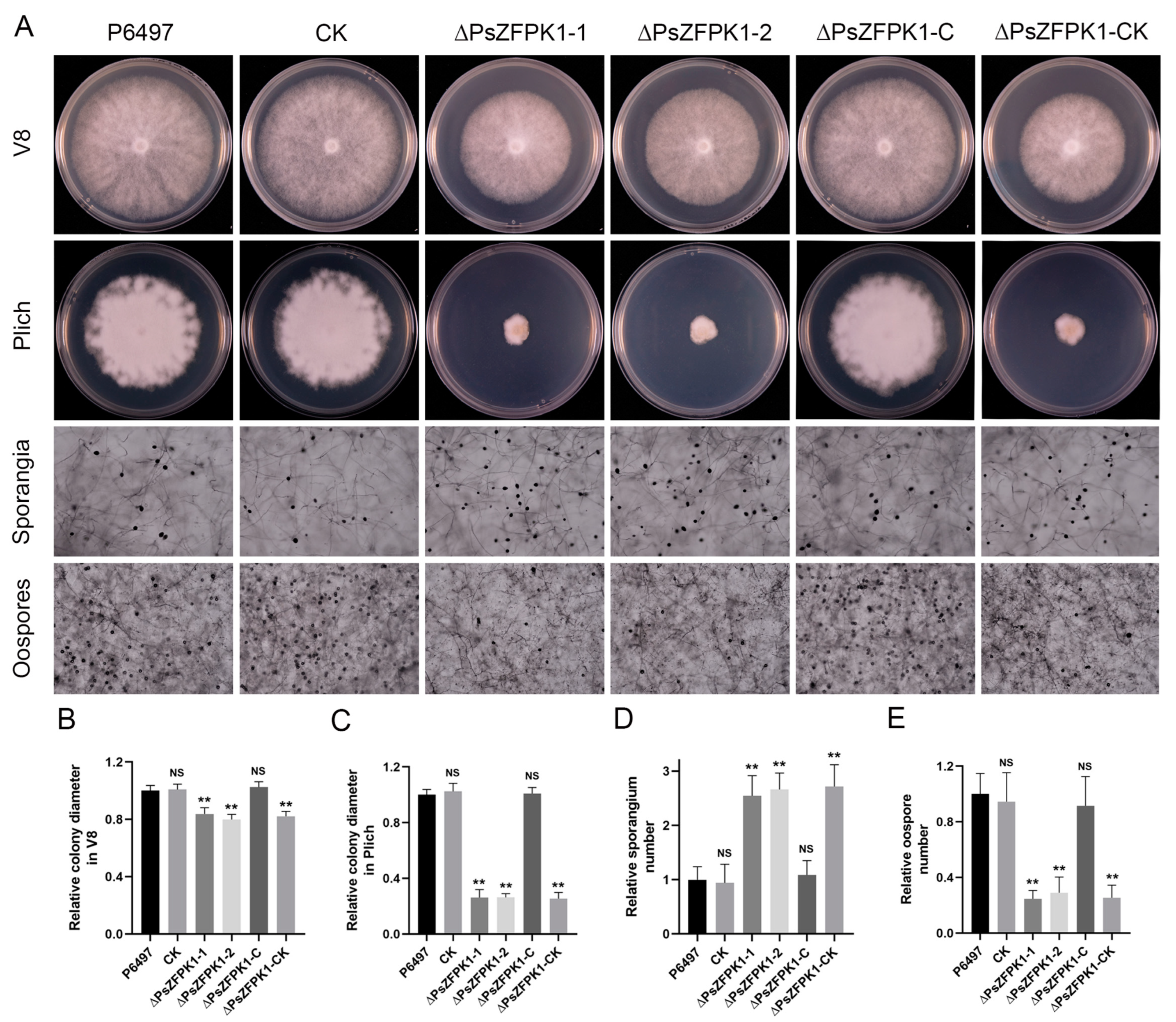 Jof 09 00709 g004 Jof 09 00709 g004