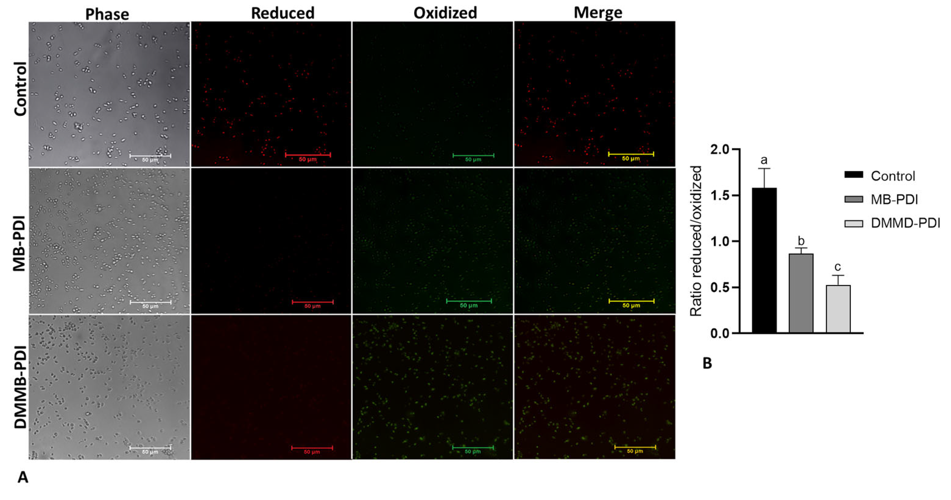 Jof 09 00717 g005 Jof 09 00717 g005