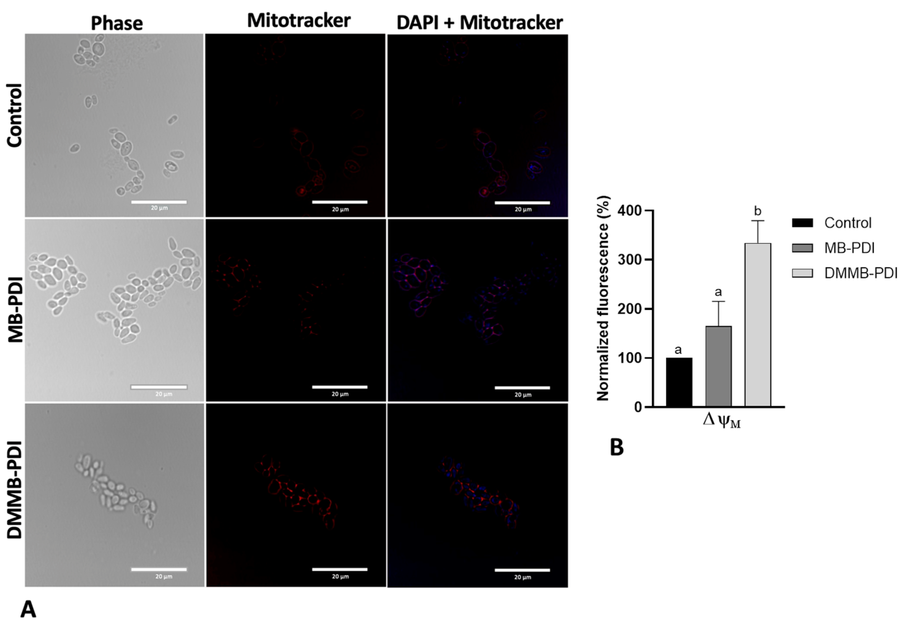 Jof 09 00717 g006 Jof 09 00717 g006