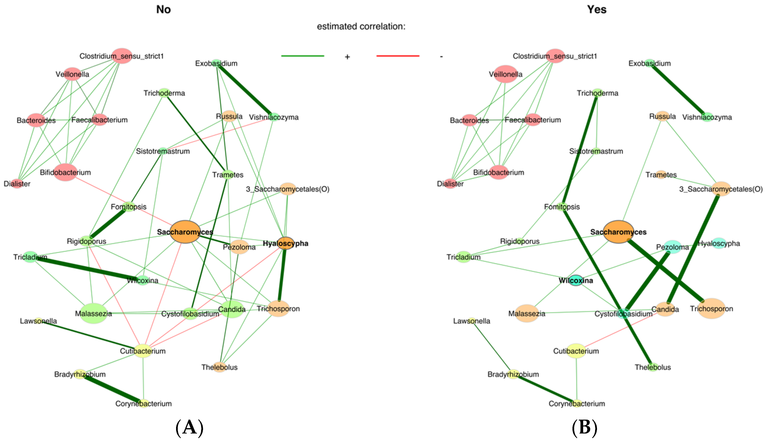 Jof 09 00718 g005 Jof 09 00718 g005
