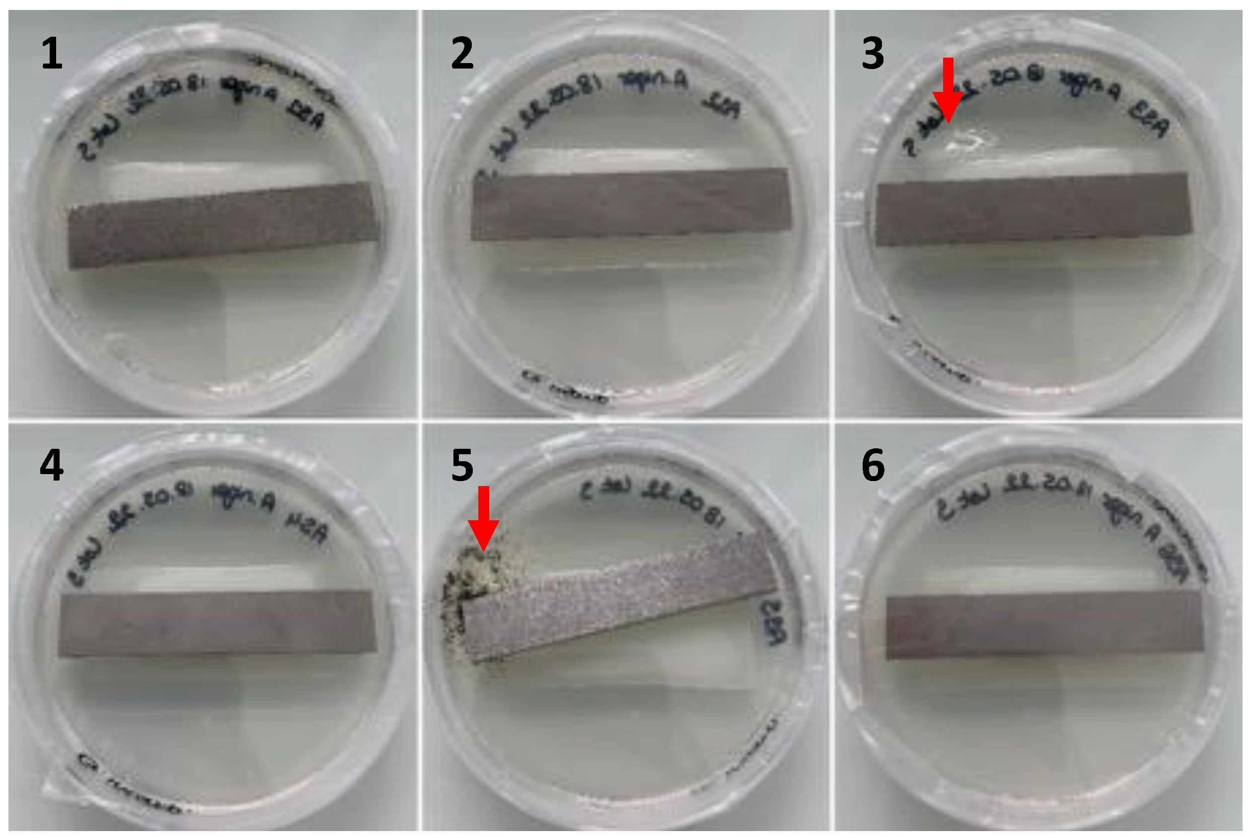 Jof 09 00760 g007 Jof 09 00760 g007