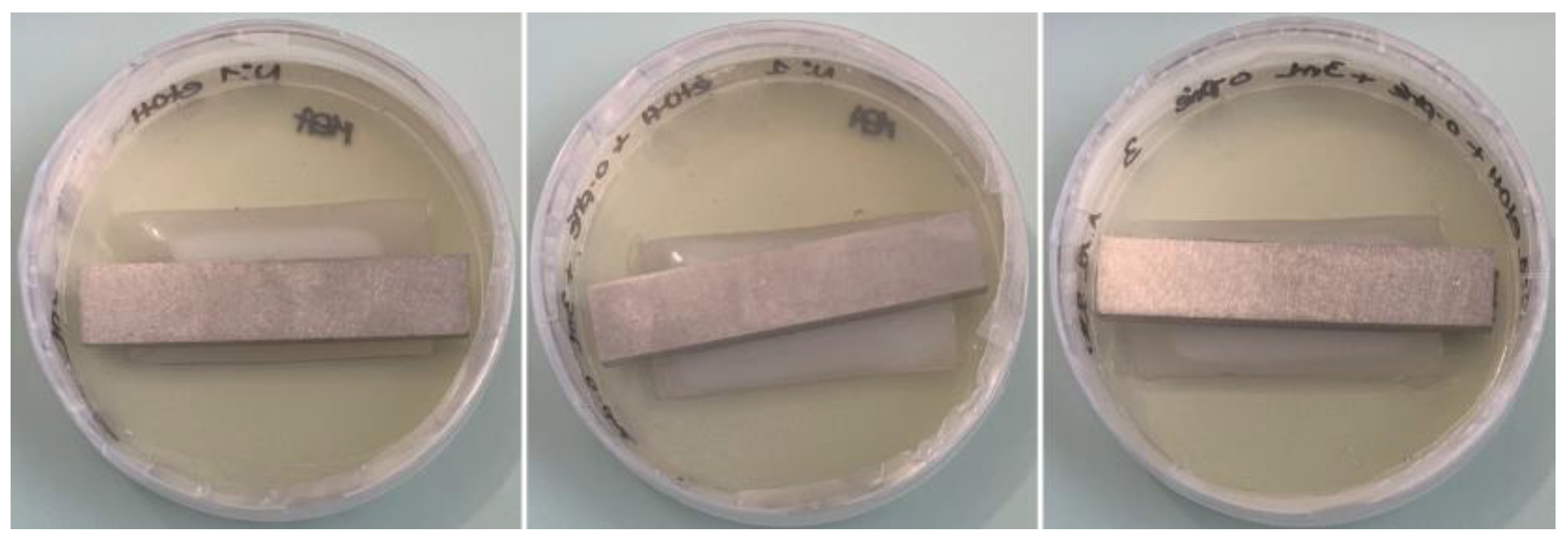 Jof 09 00760 g008 Jof 09 00760 g008