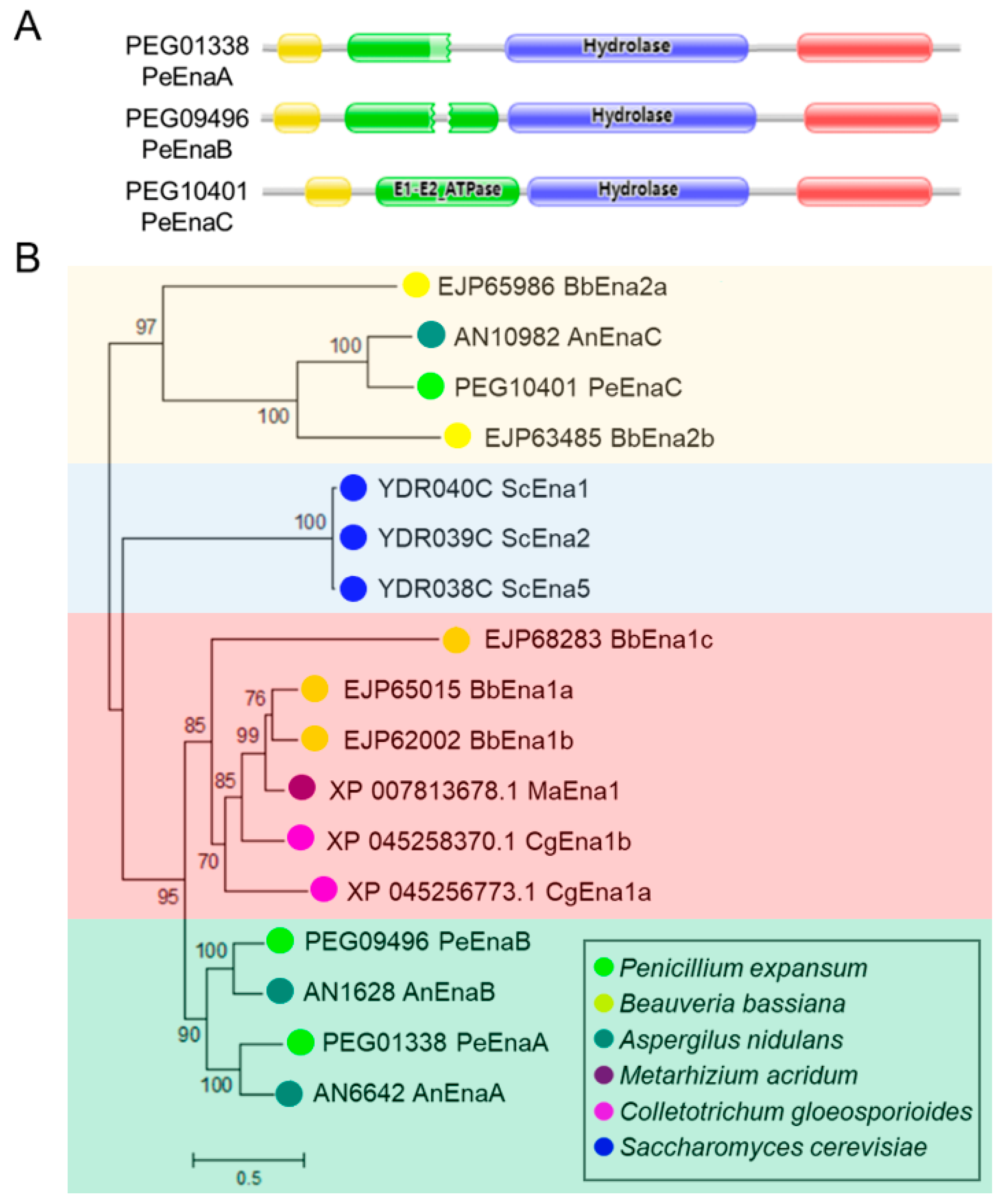 Jof 09 00806 g001 Jof 09 00806 g001