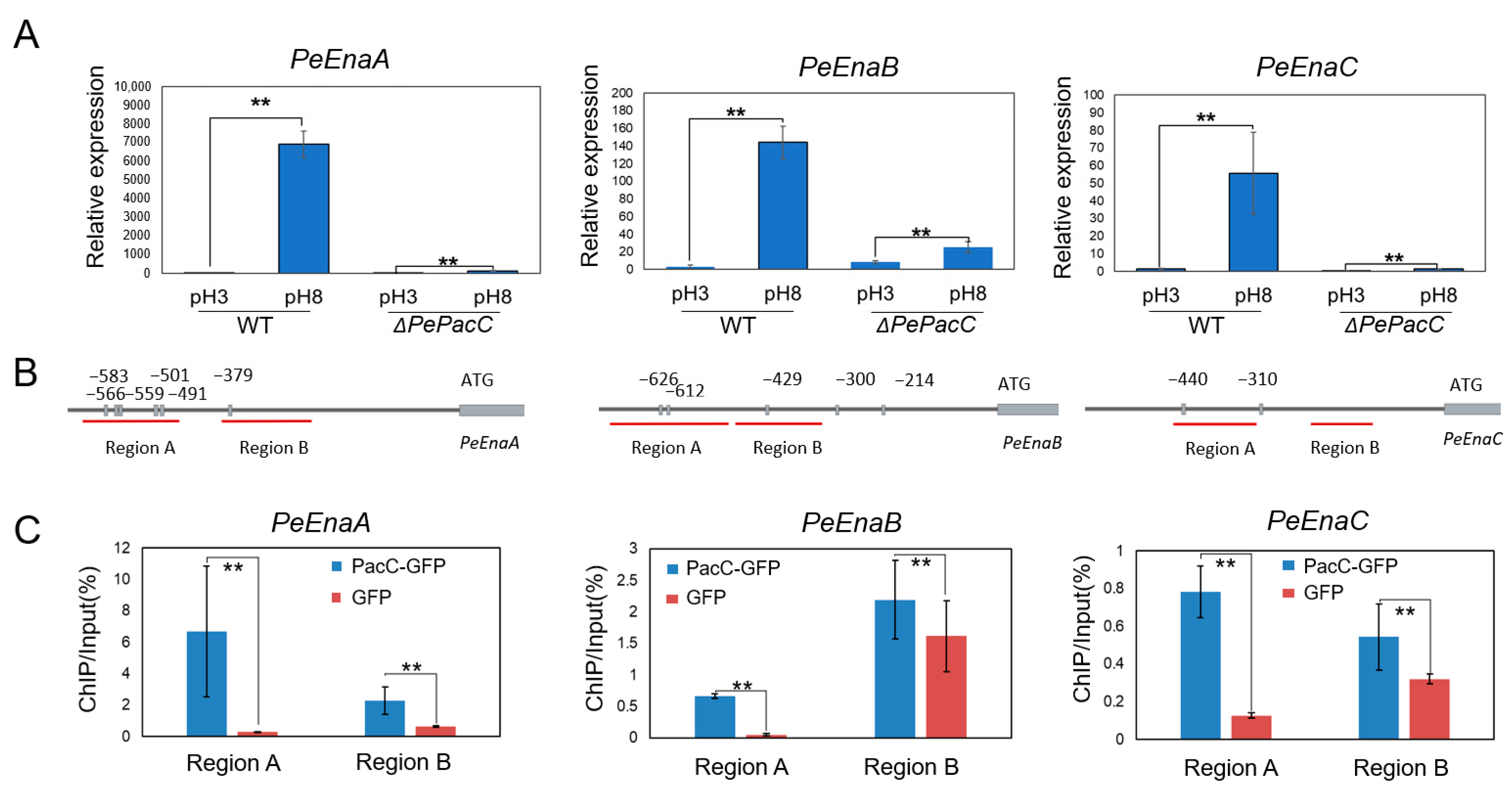 Jof 09 00806 g002 Jof 09 00806 g002