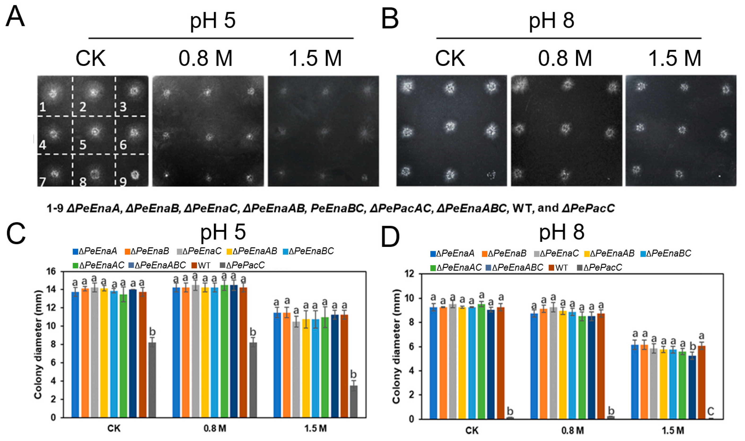 Jof 09 00806 g003 Jof 09 00806 g003