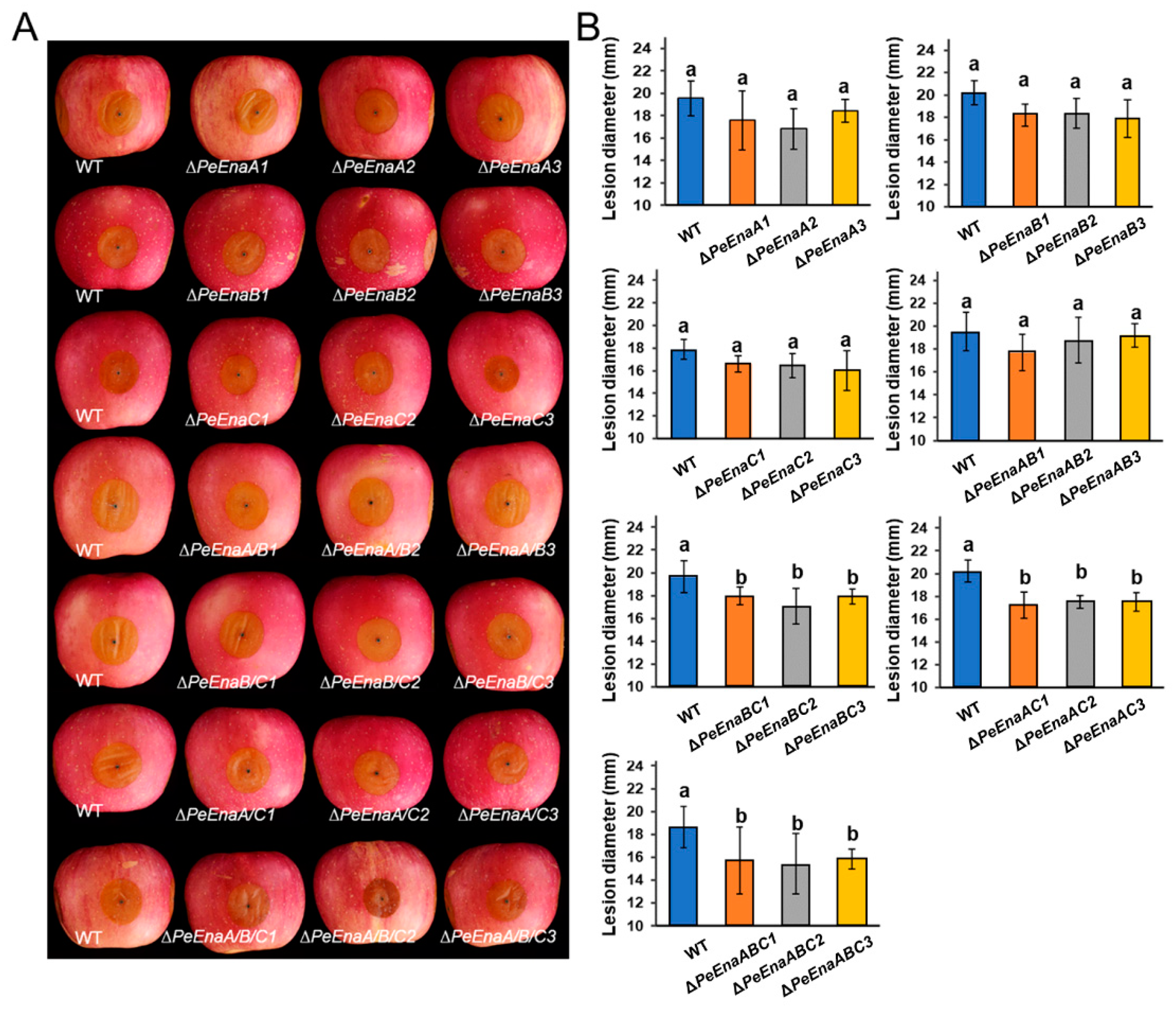 Jof 09 00806 g004 Jof 09 00806 g004