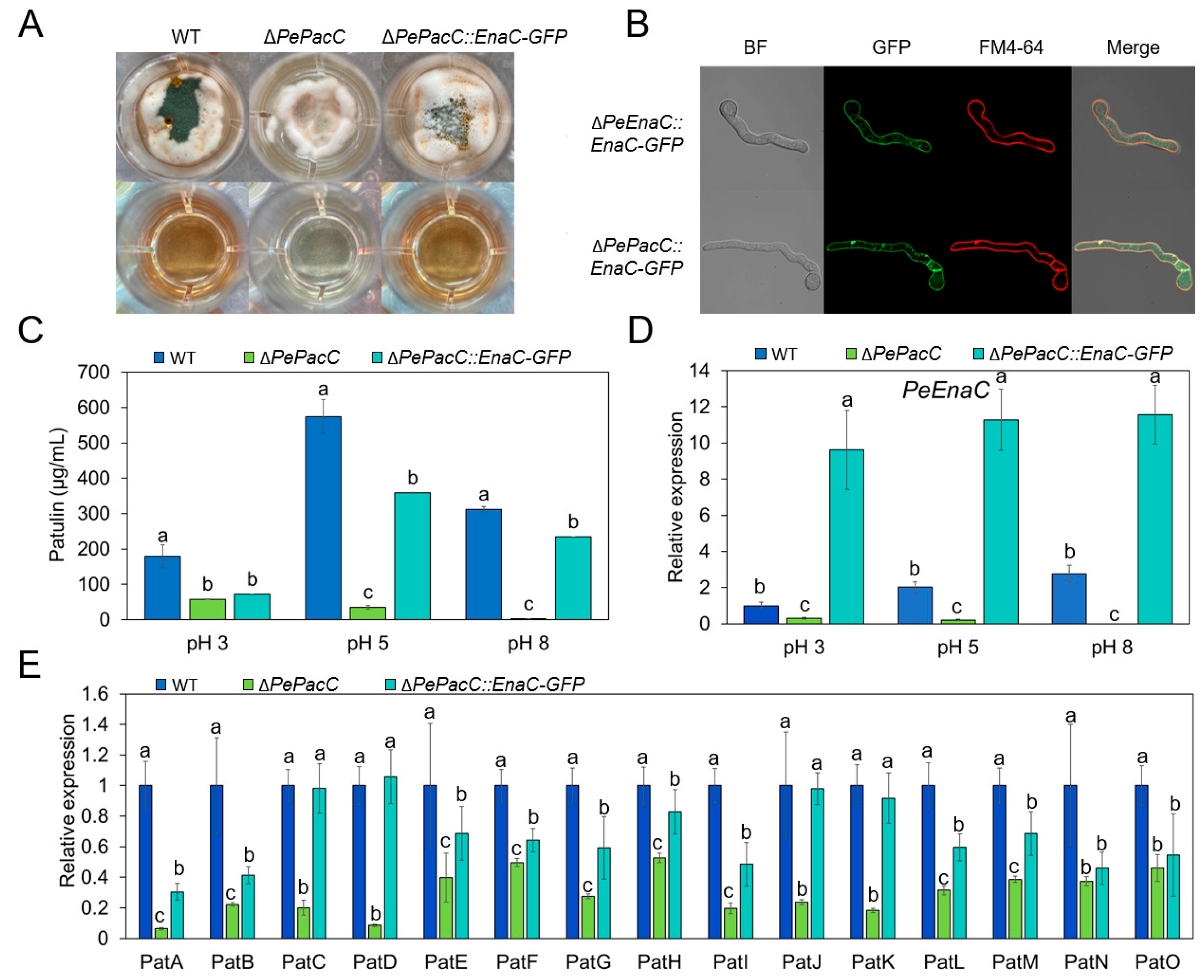 Jof 09 00806 g006 Jof 09 00806 g006