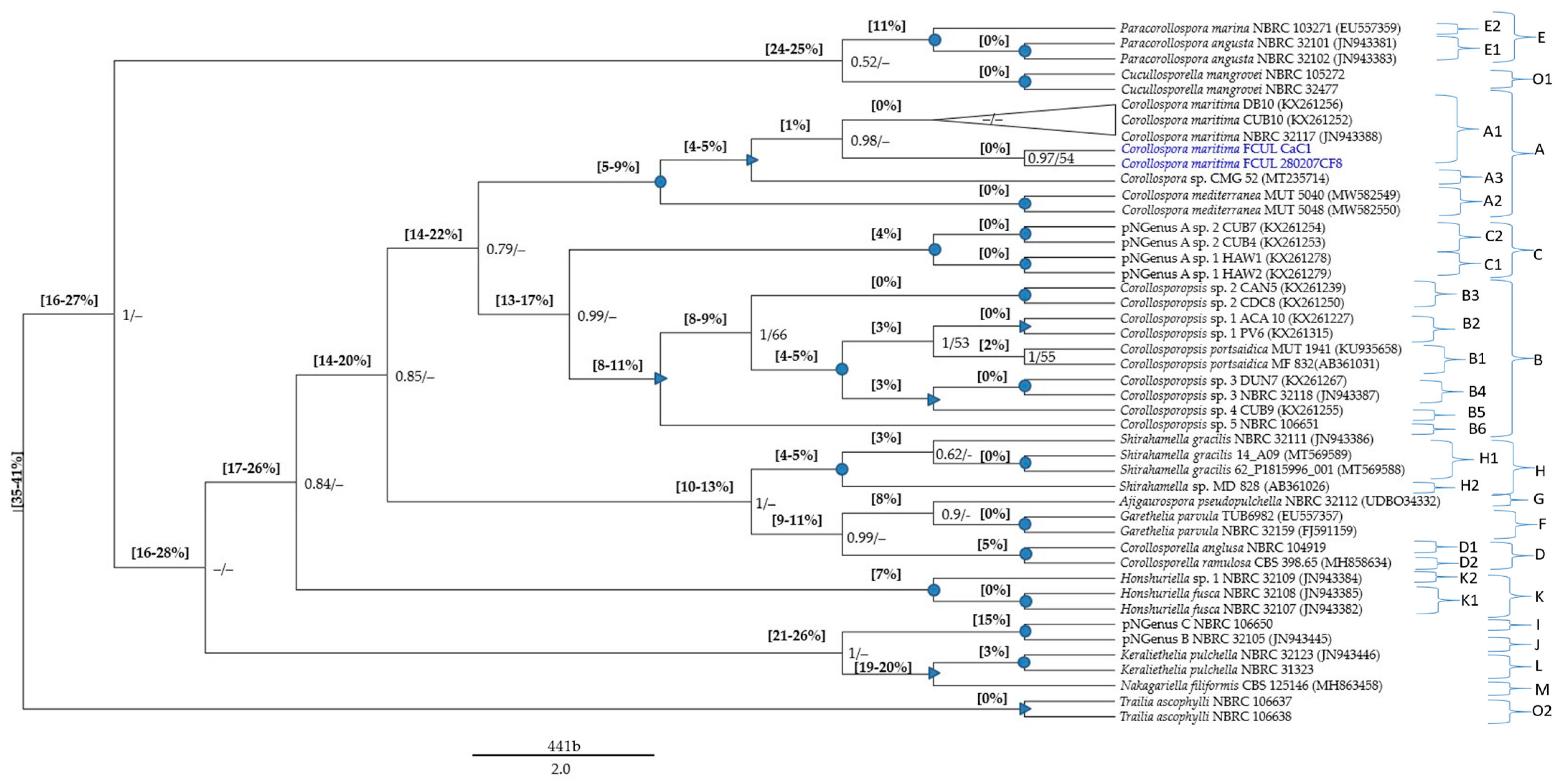 Jof 09 00841 g001 Jof 09 00841 g001