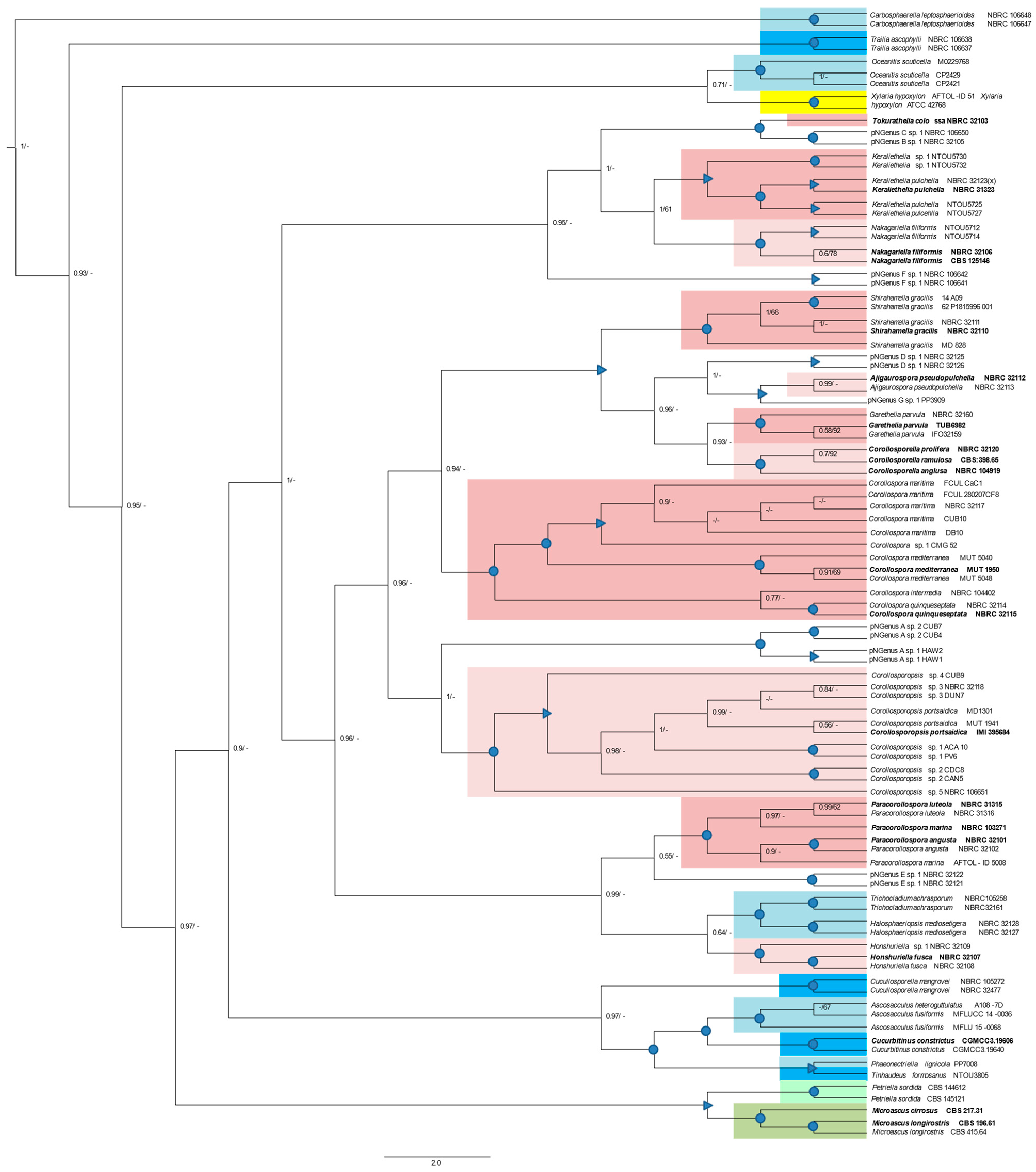 Jof 09 00841 g004 Jof 09 00841 g004