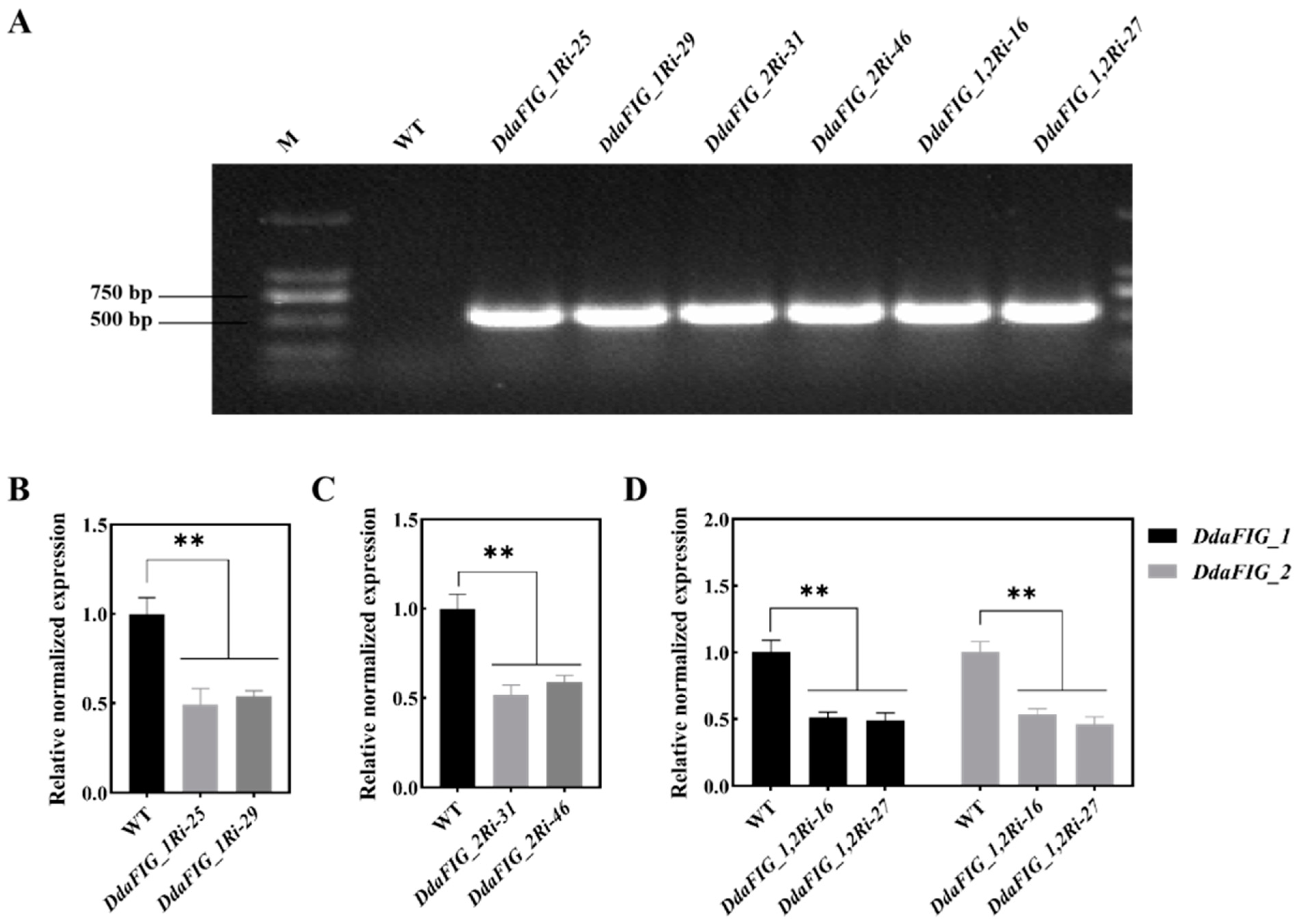 Jof 09 00975 g002 Jof 09 00975 g002