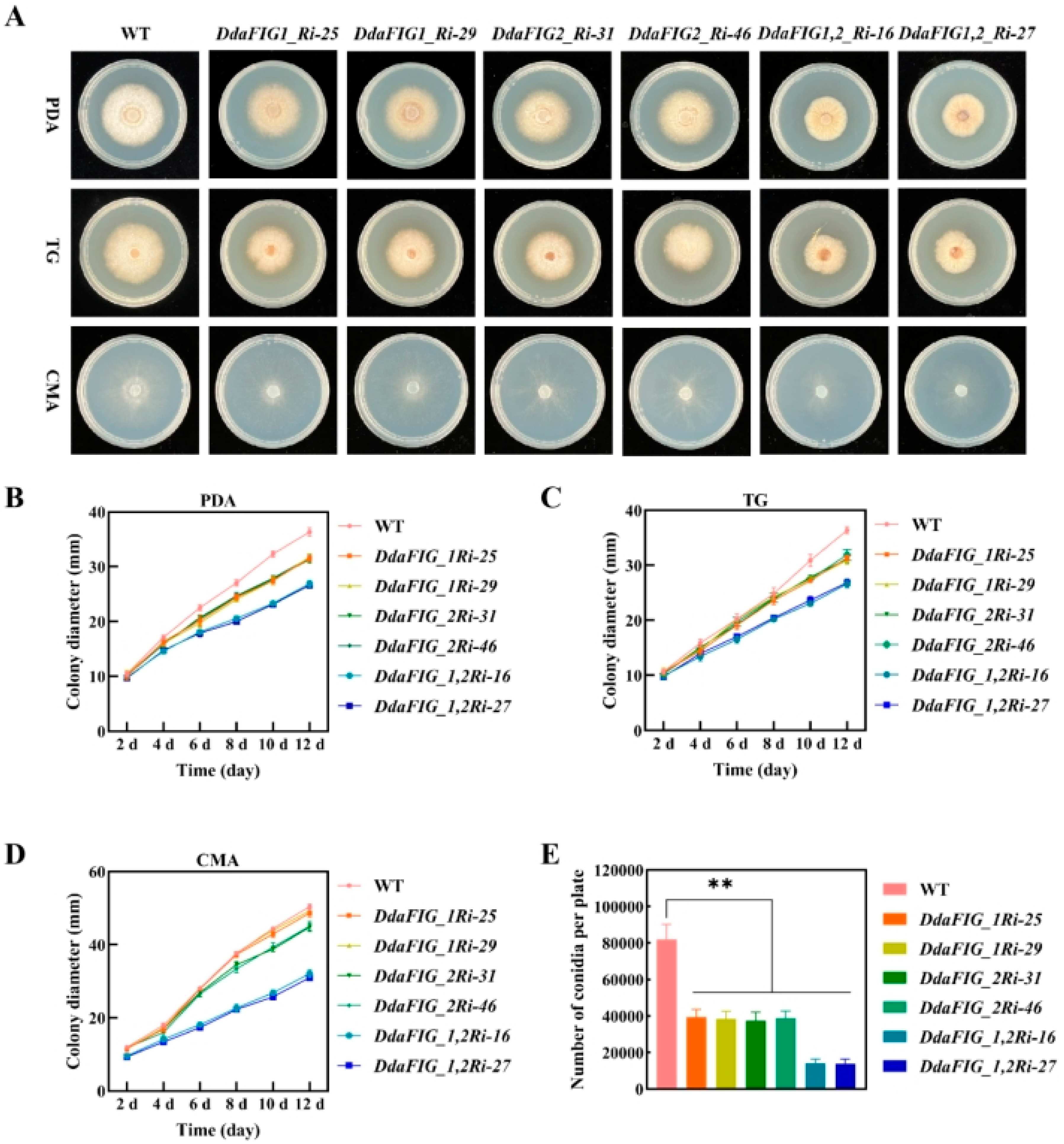Jof 09 00975 g003 Jof 09 00975 g003