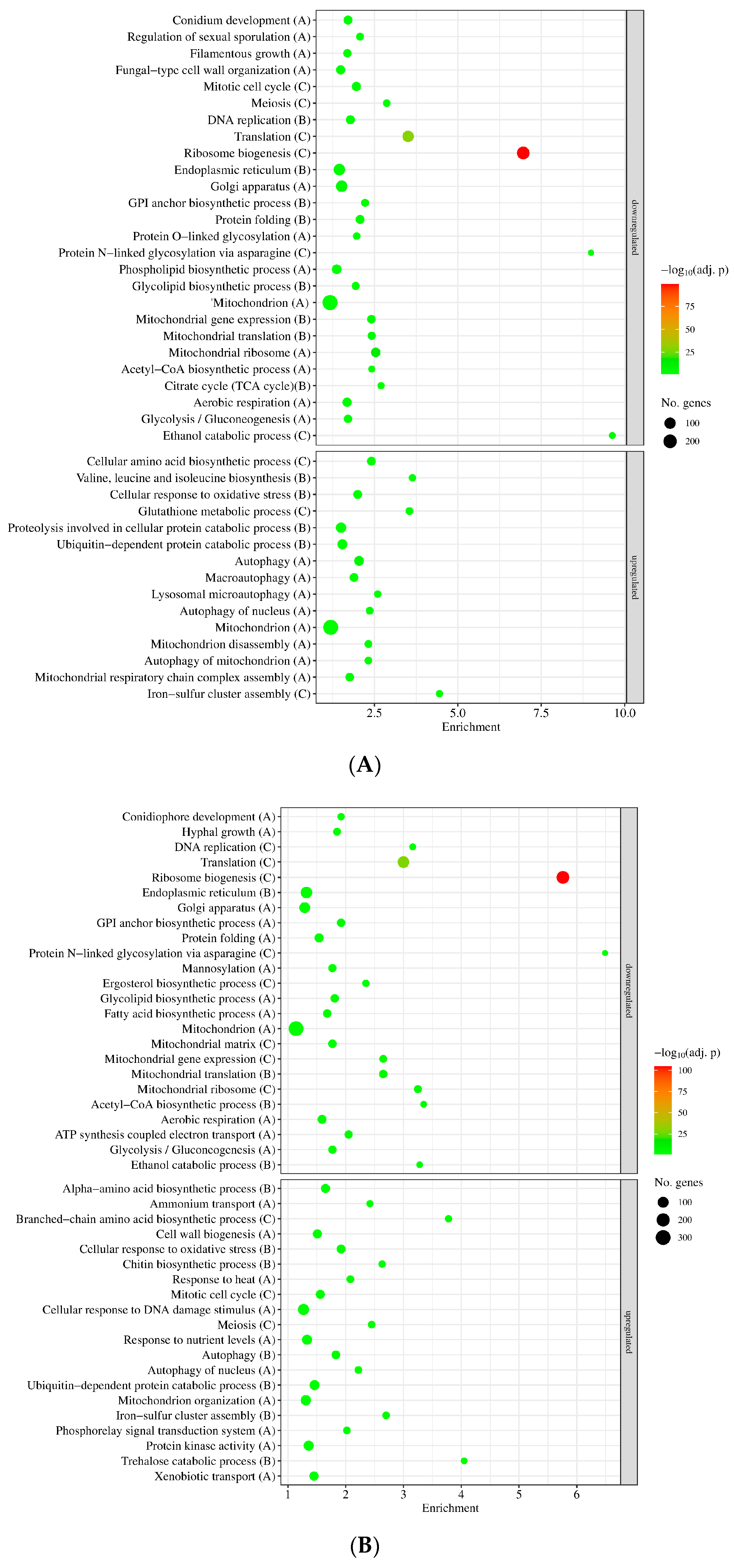 Jof 09 01060 g004 Jof 09 01060 g004
