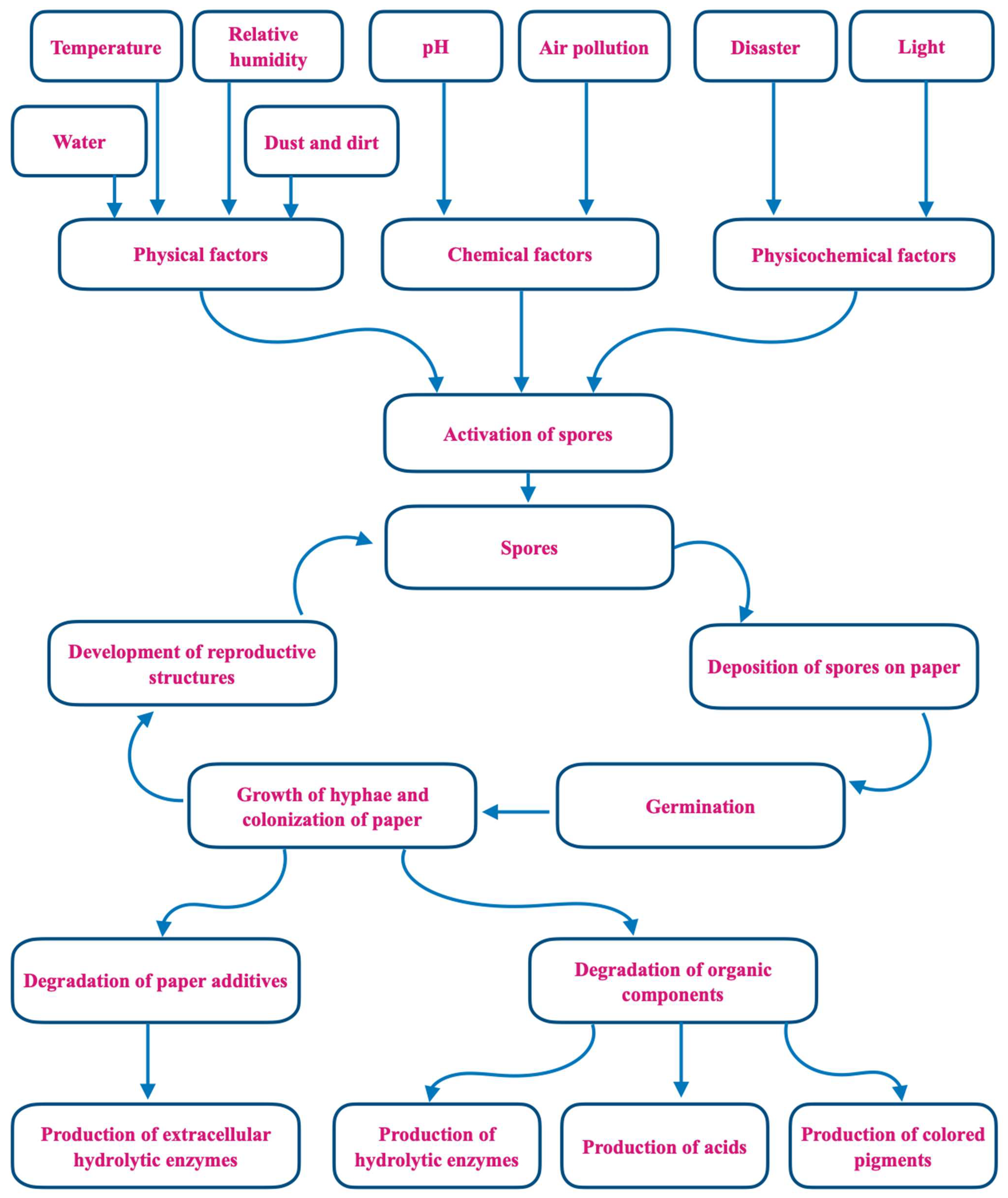 Jof 09 01061 g001 Jof 09 01061 g001