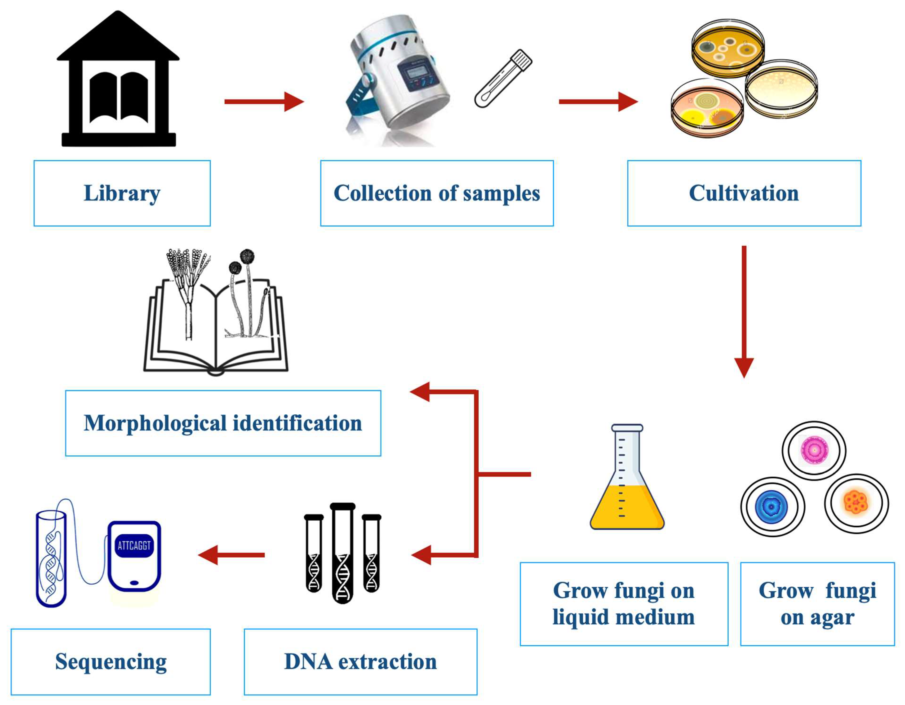 Jof 09 01061 g002 Jof 09 01061 g002