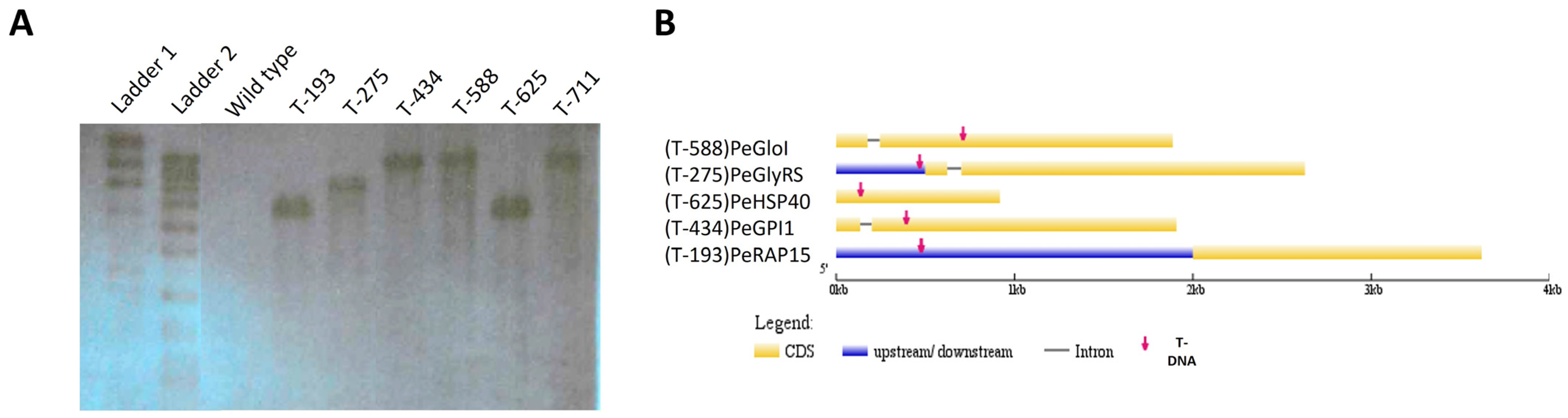 Jof 09 01066 g002 Jof 09 01066 g002