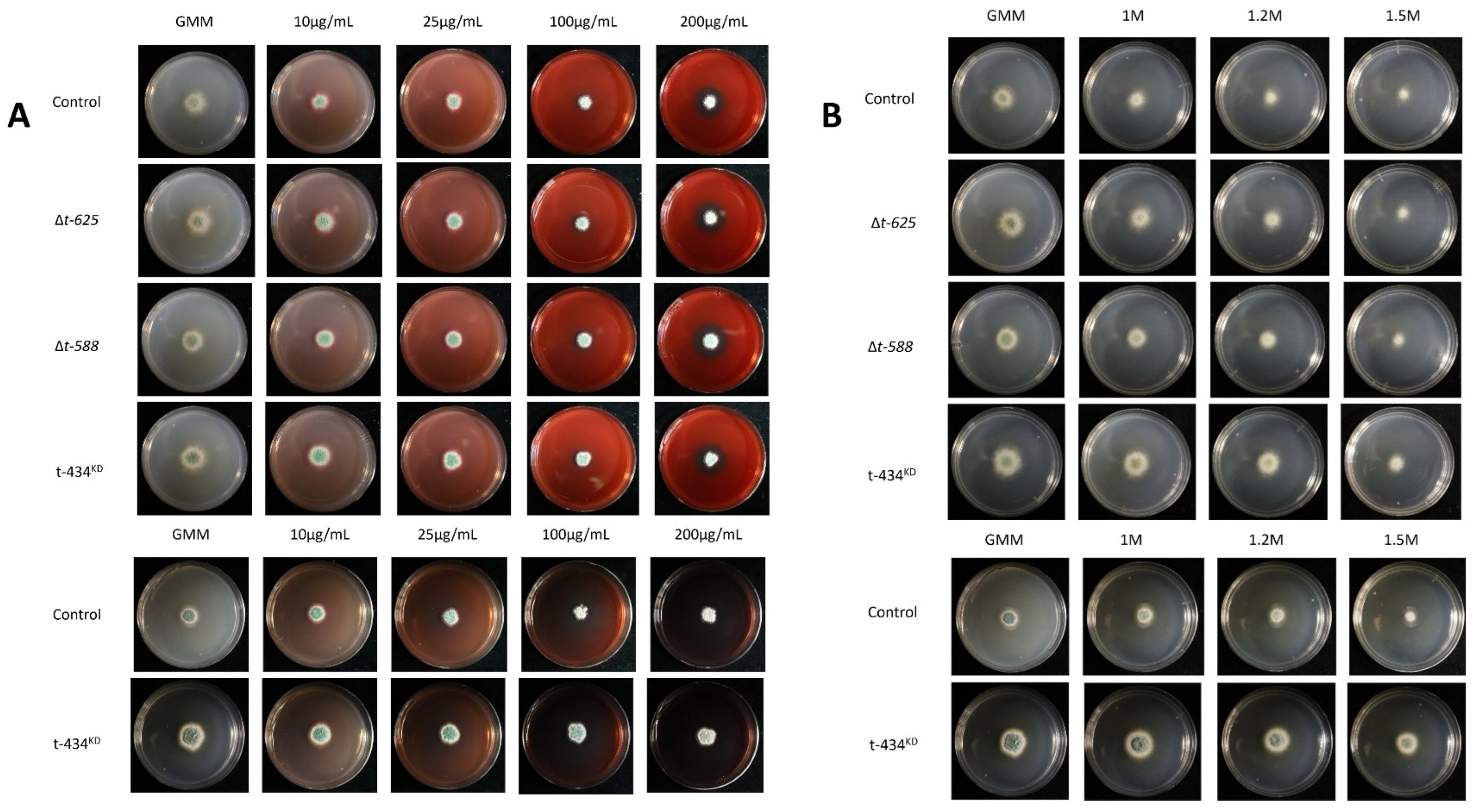 Jof 09 01066 g006 Jof 09 01066 g006
