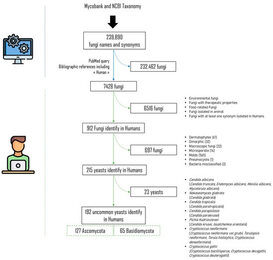 Cheque synonyms - 192 Words and Phrases for Cheque