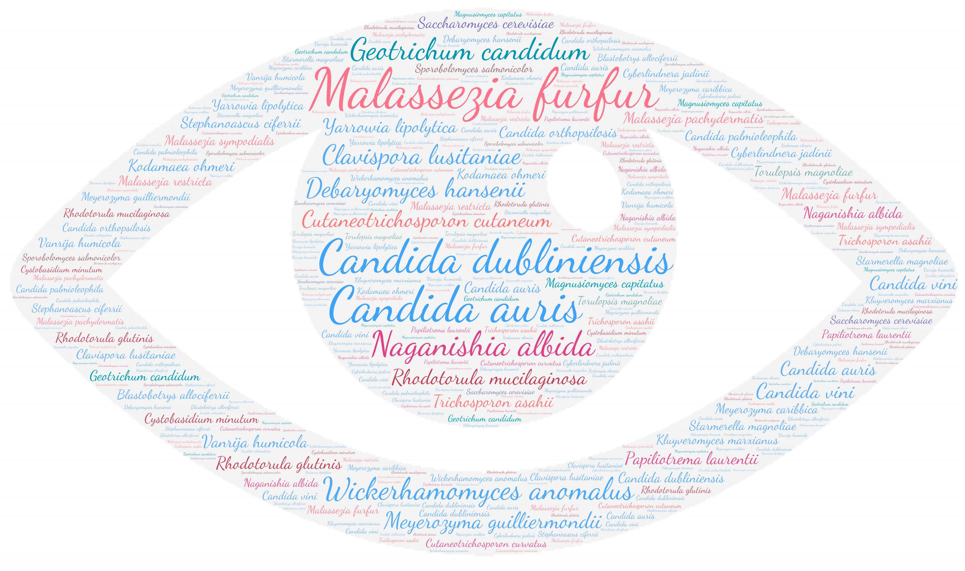 Jof 09 01099 g004 Jof 09 01099 g004