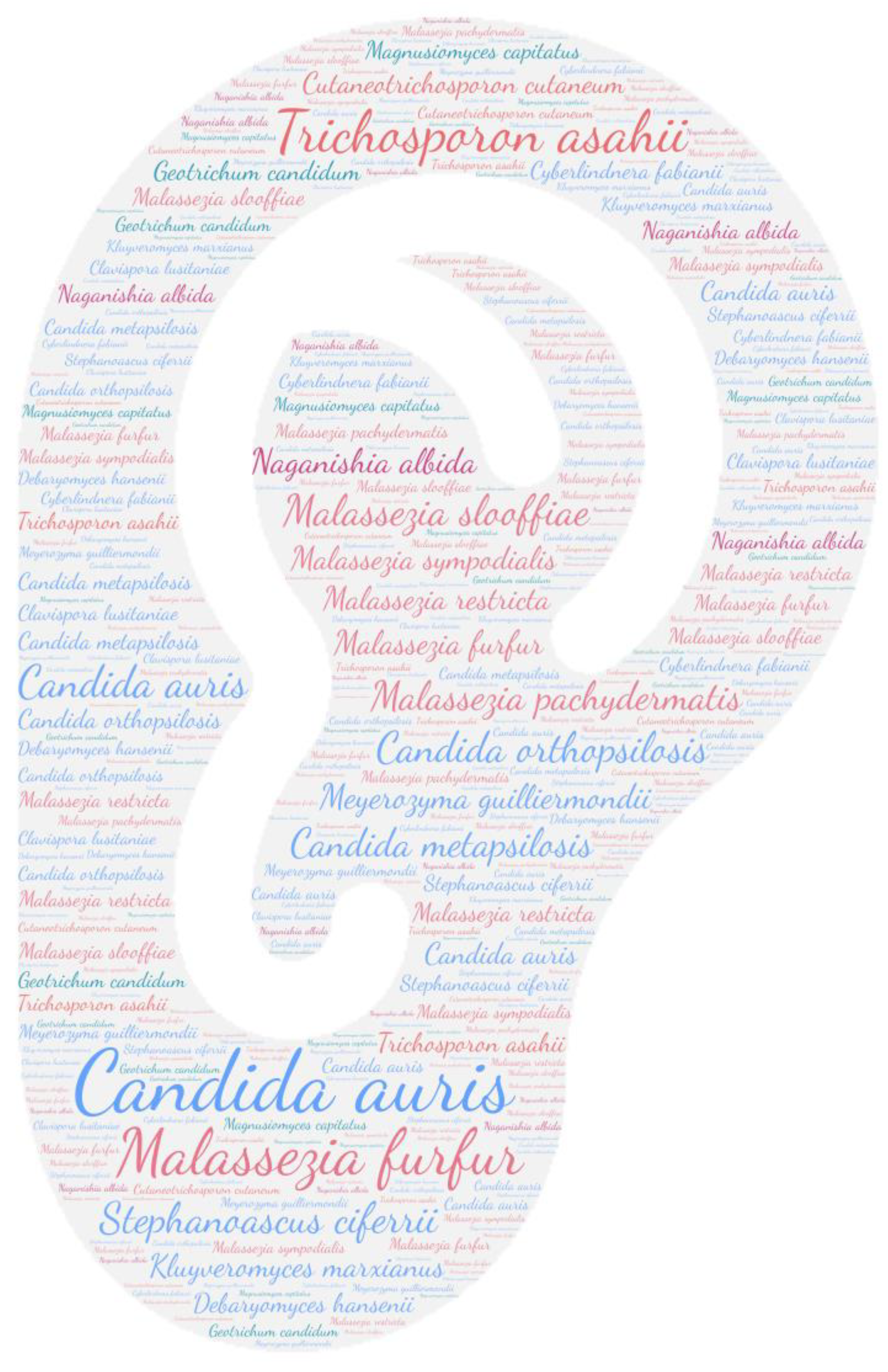 Jof 09 01099 g005 Jof 09 01099 g005