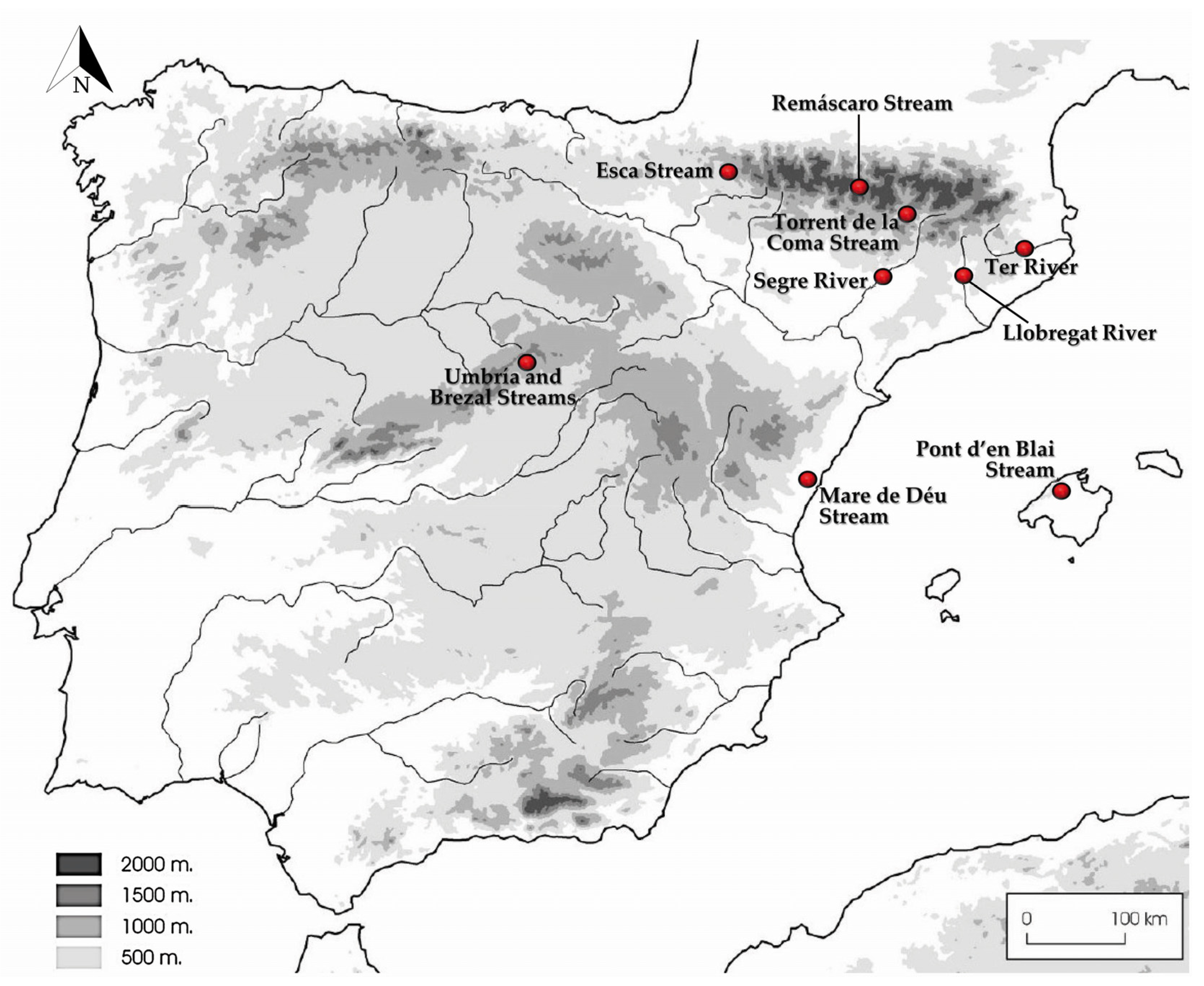 JoF | Free Full-Text | Insights into Some Onygenalean Fungi from Freshwater  Sediments in Spain and Description of Novel Taxa