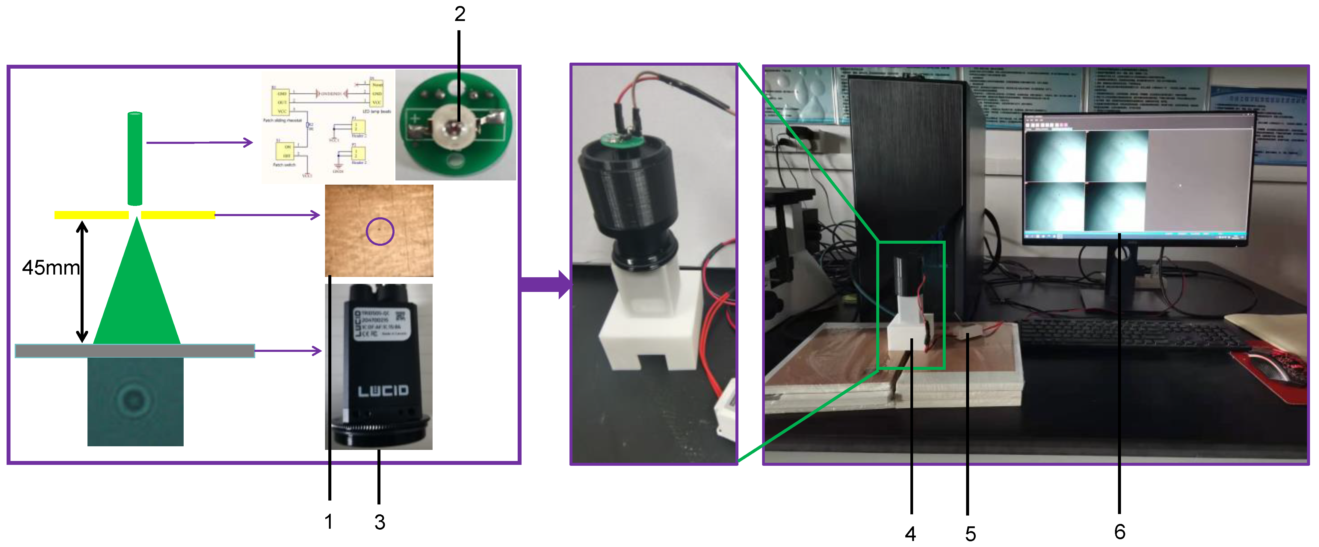 Monitoring of fruit freshness using phase information in polarization  reflectance spectroscopy