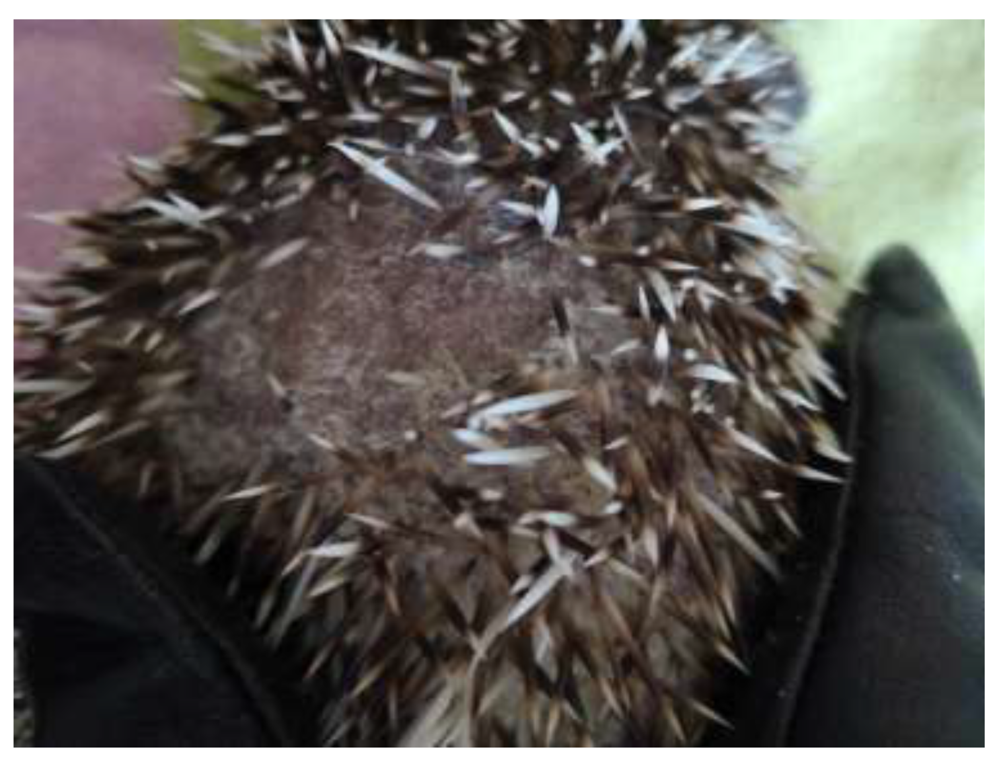 Jof 09 01132 g001 Jof 09 01132 g001